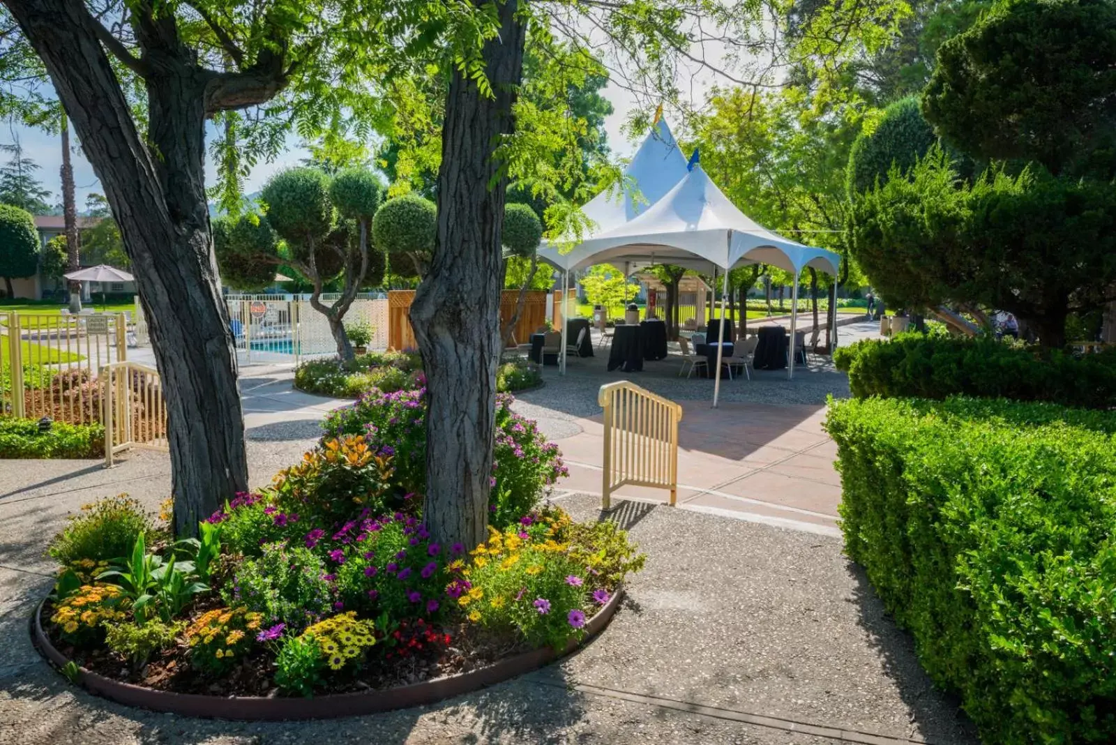 Swimming Pool in Los Gatos Lodge