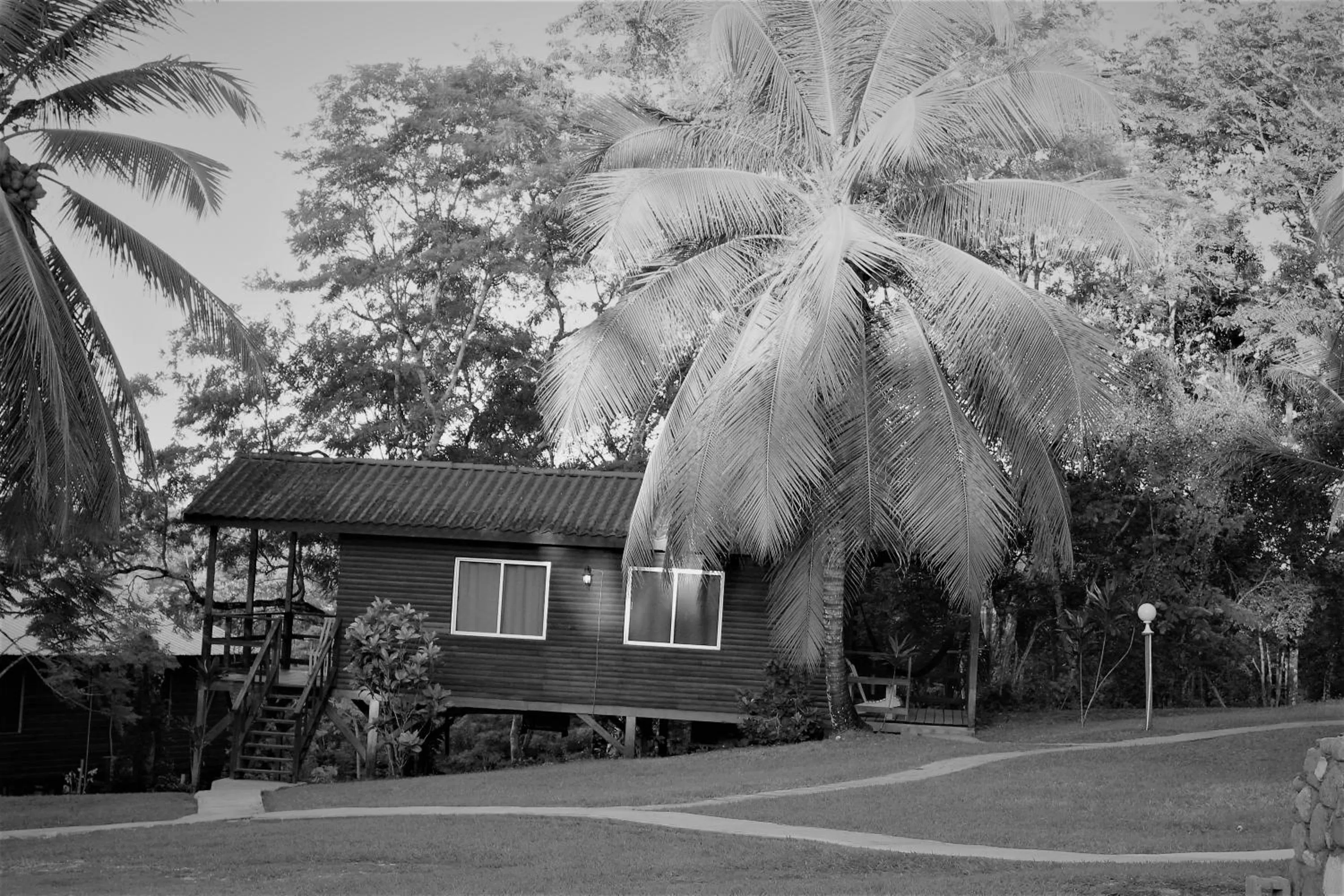 Day in The Log Cab-Inn