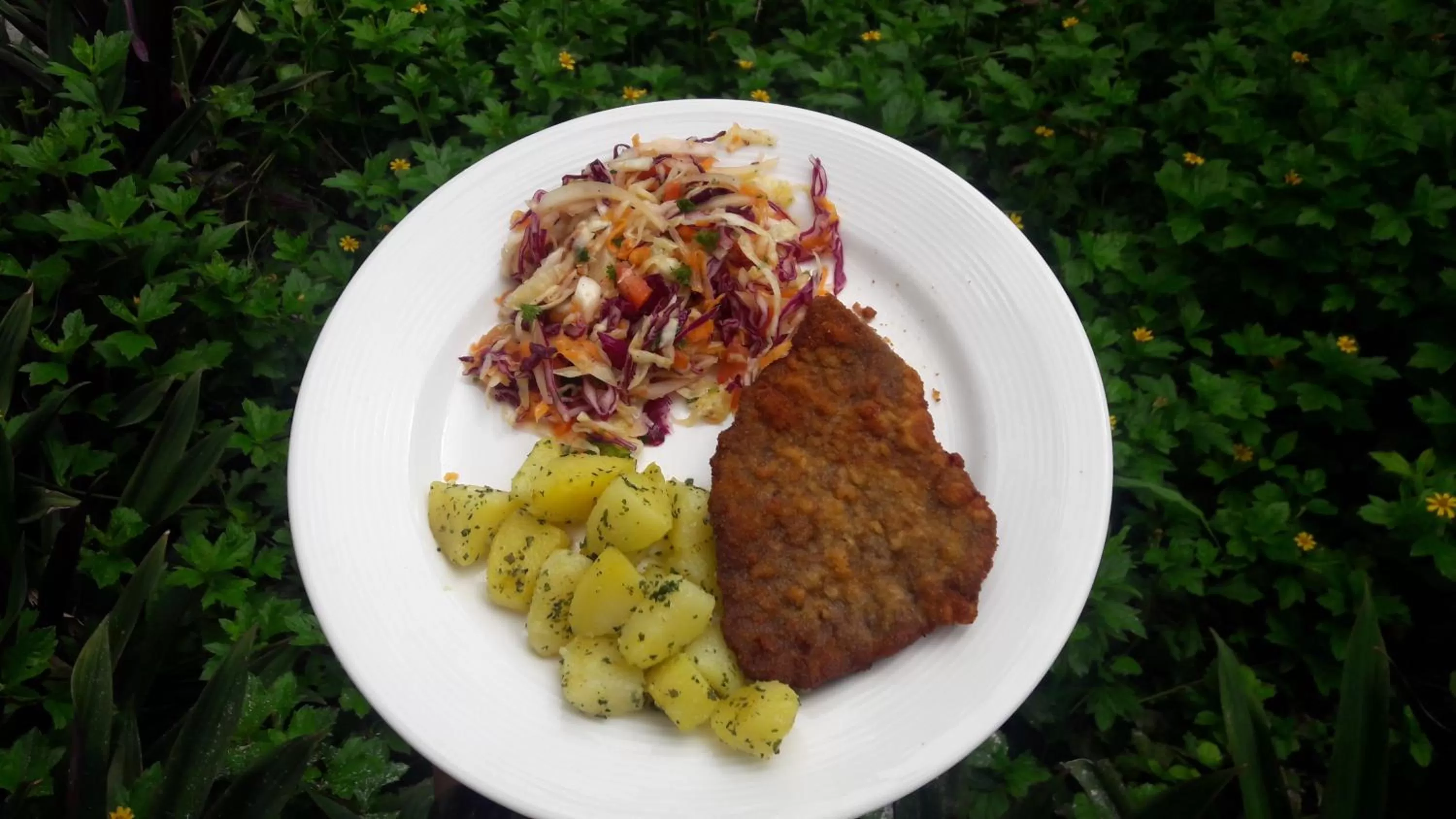 Food and drinks in Riviera Punta Cana Eco Travelers