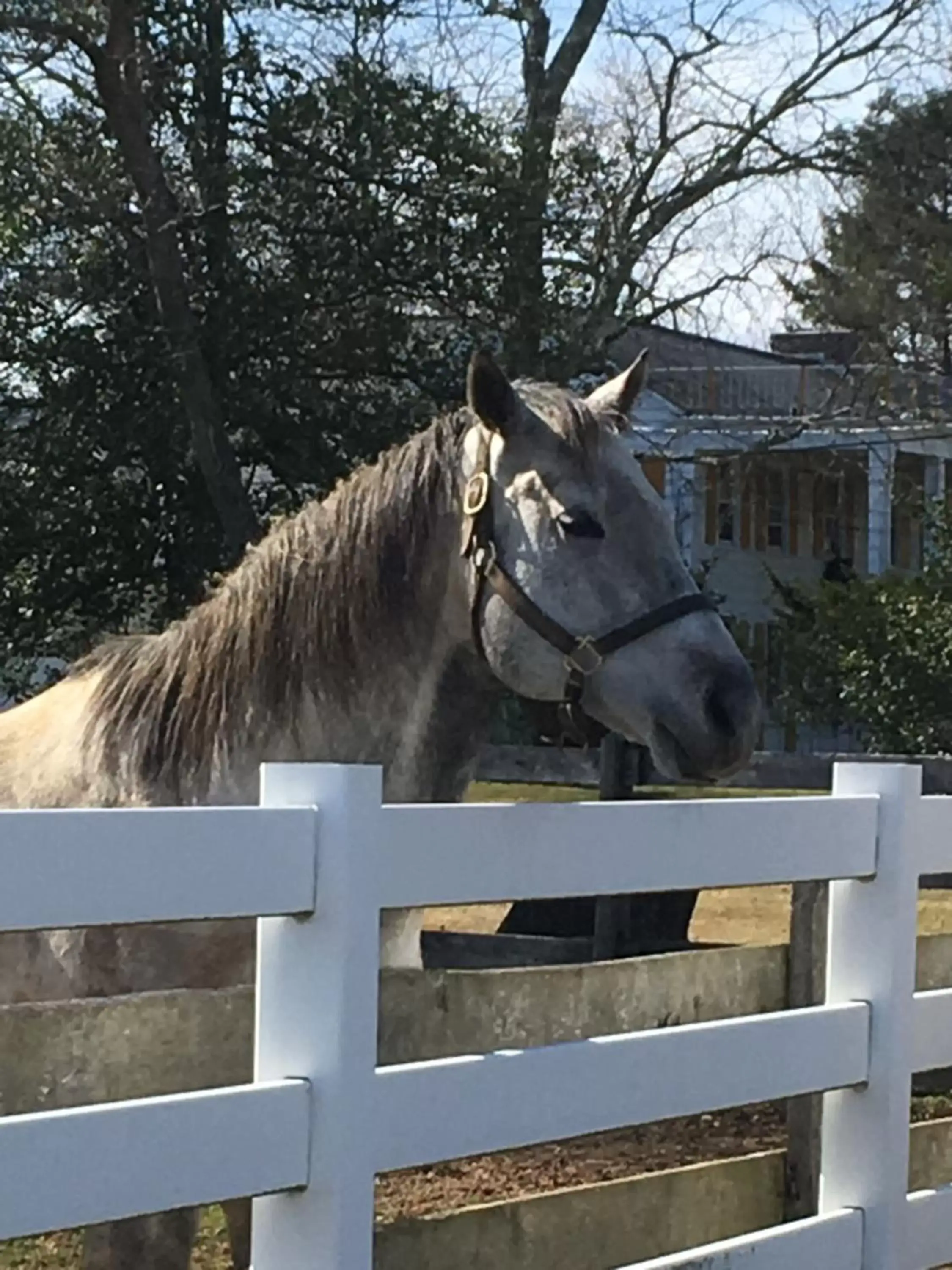 Off site, Other Animals in Colts Neck Inn Hotel