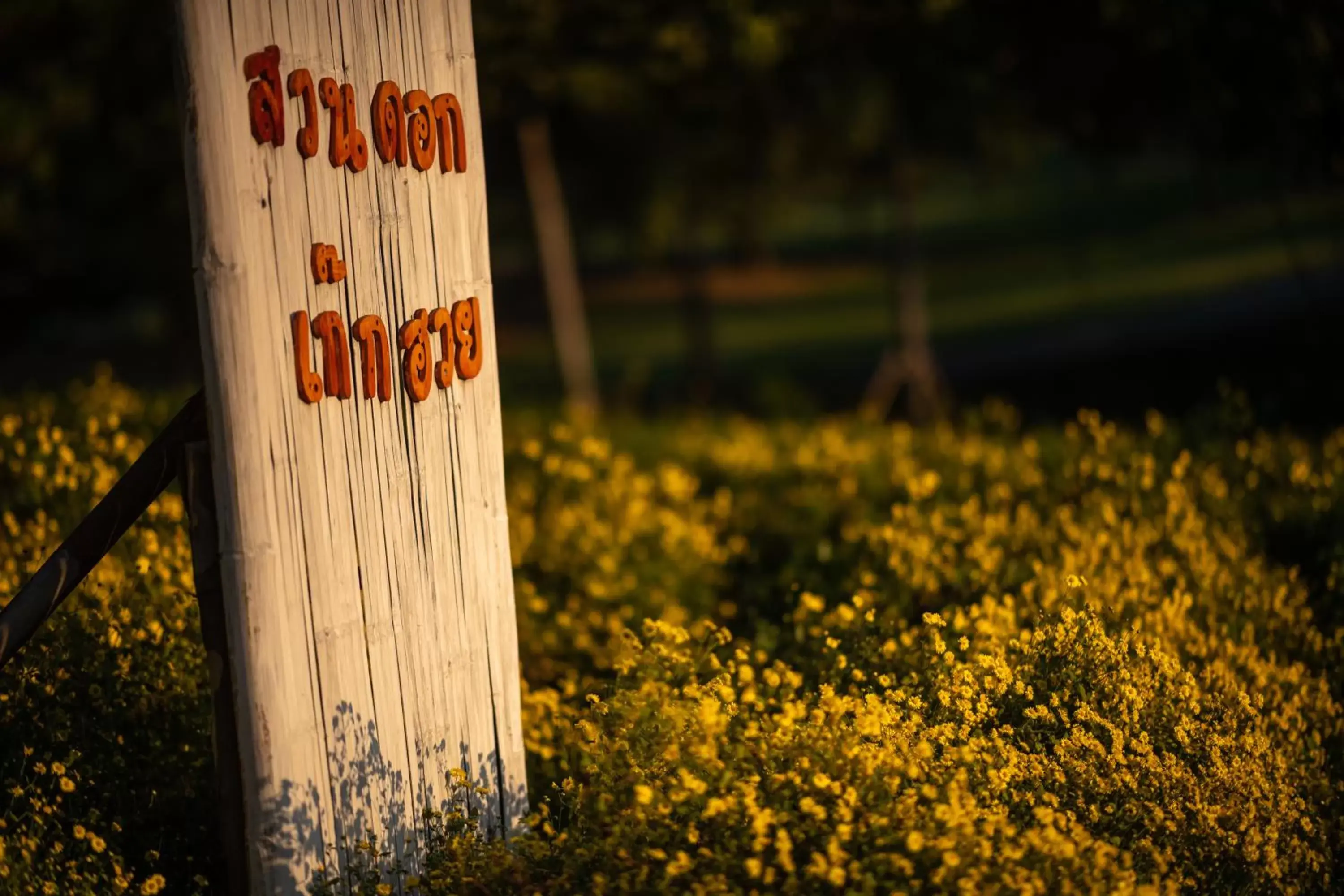 Nearby landmark in Doi Inthanon Riverside resort