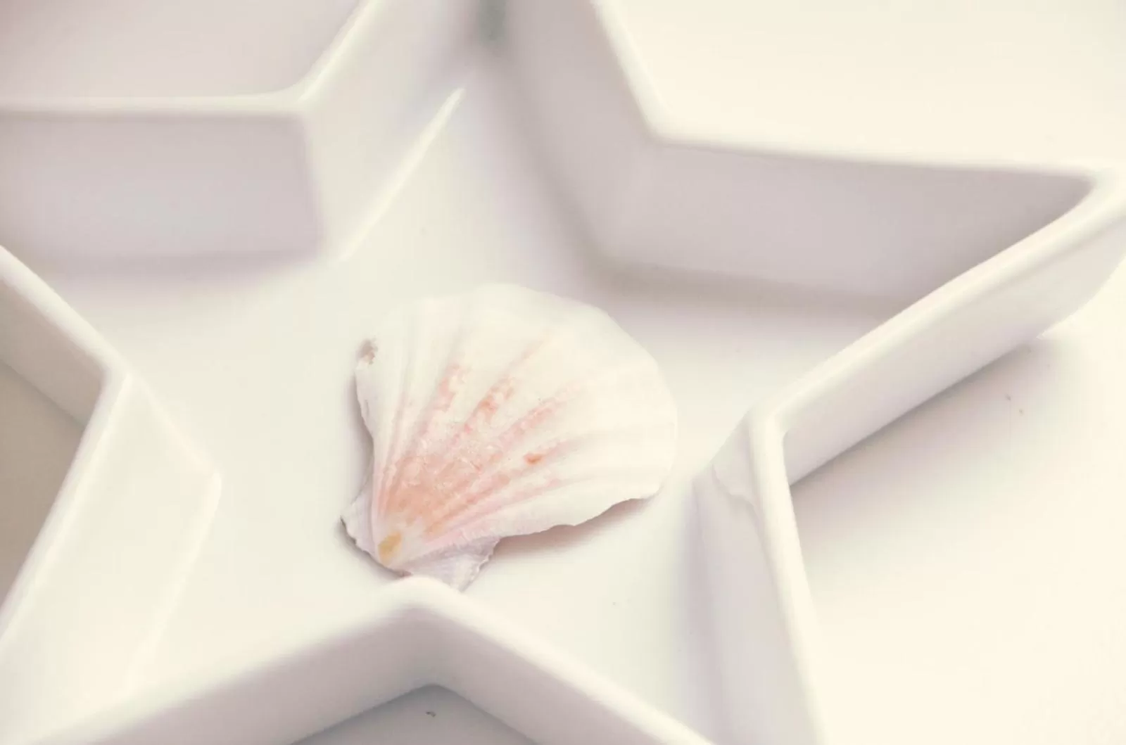 Gregory by the Warren Collection