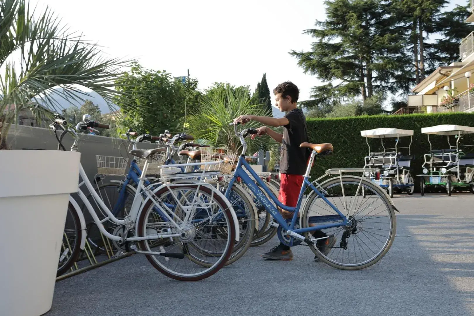 Cycling in Hotel Benacus Malcesine