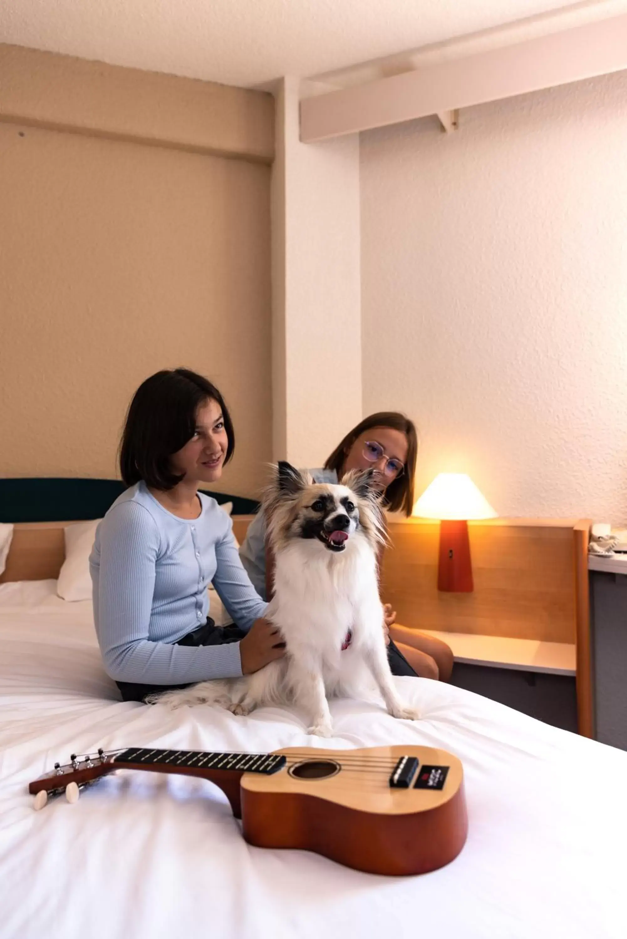 children, Pets in Hotel ibis Autun