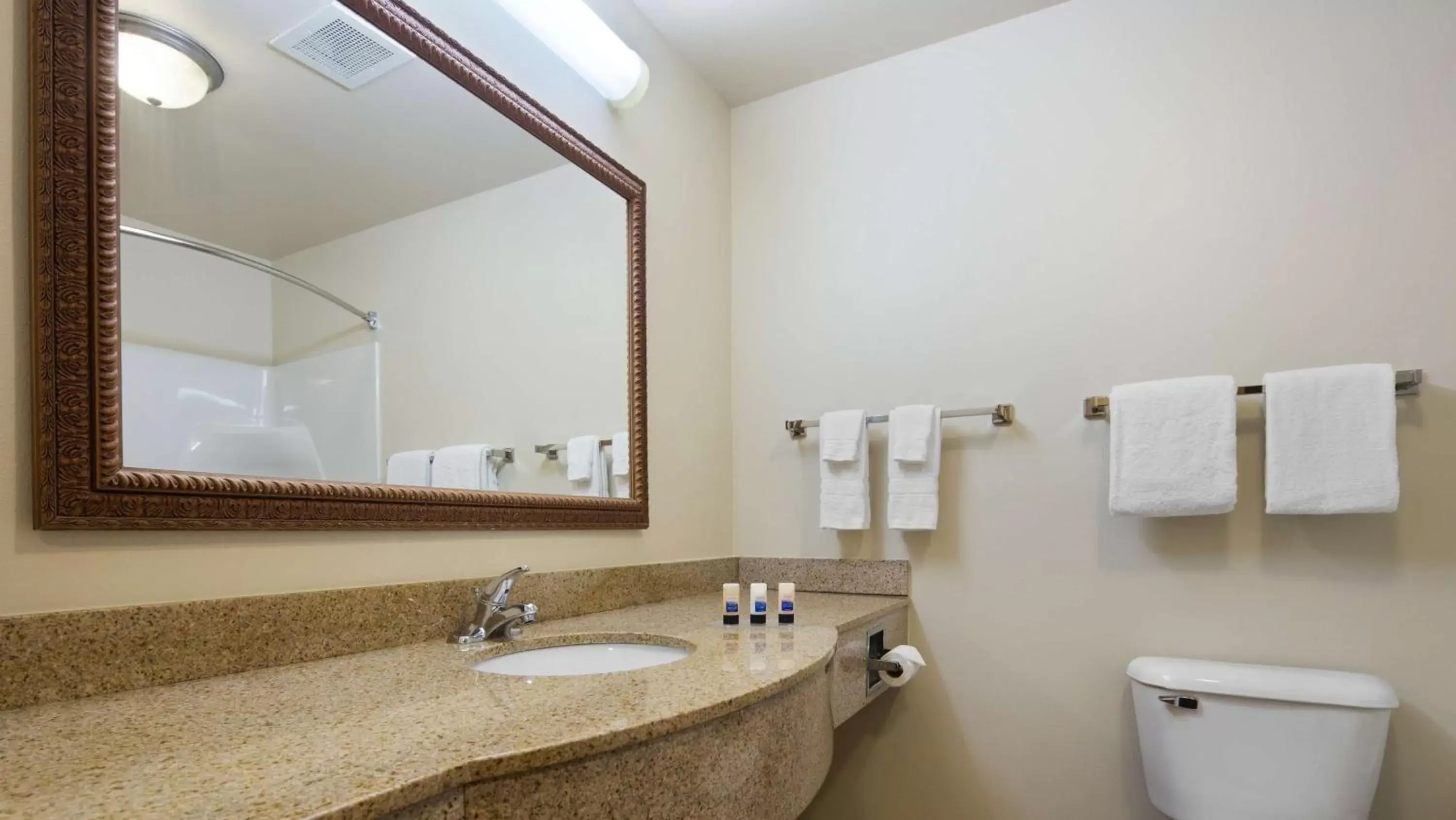 Bathroom in Best Western Legacy Inn & Suites Beloit/South Beloit