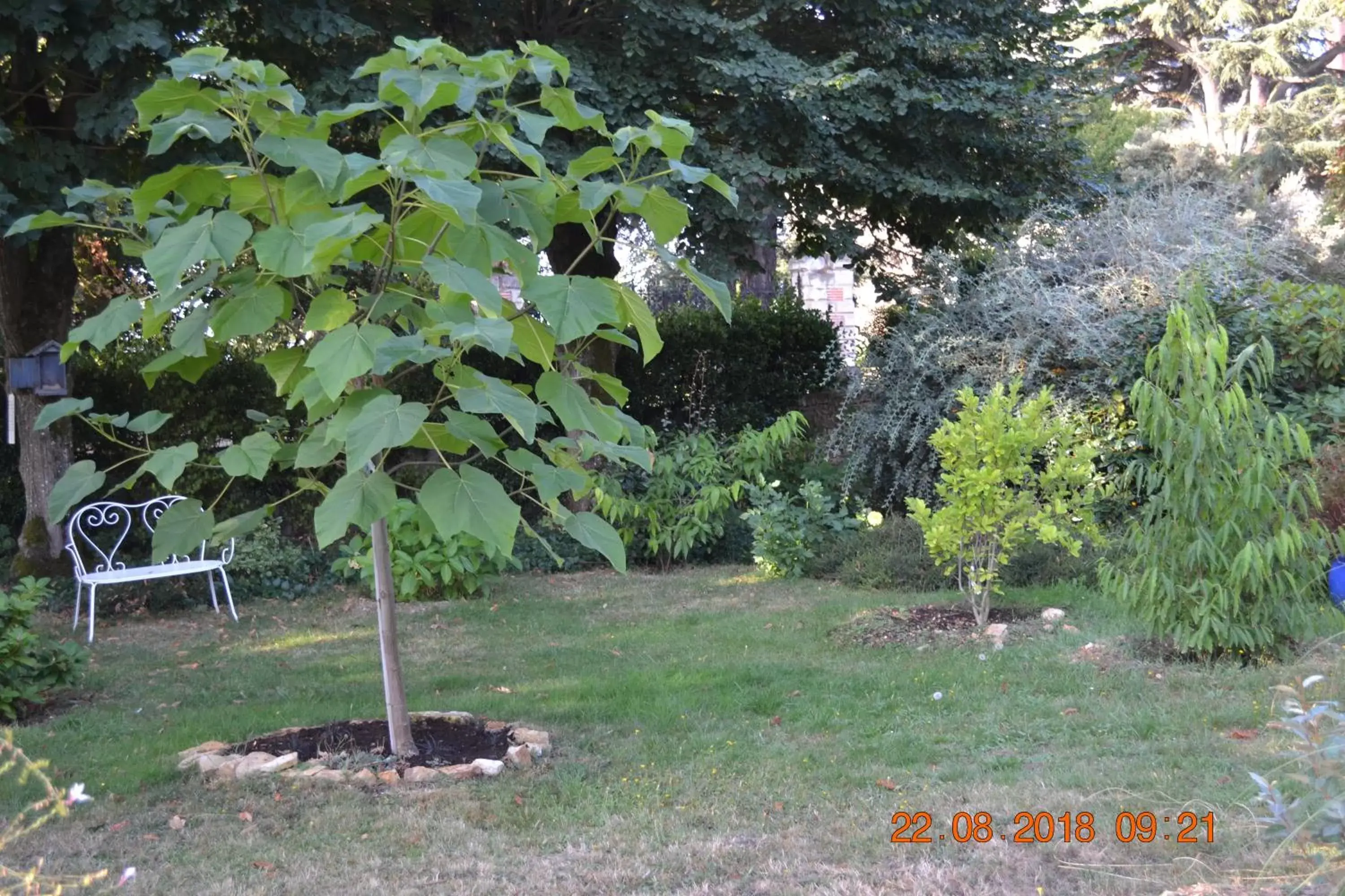 Garden in Hôtel Le Castel