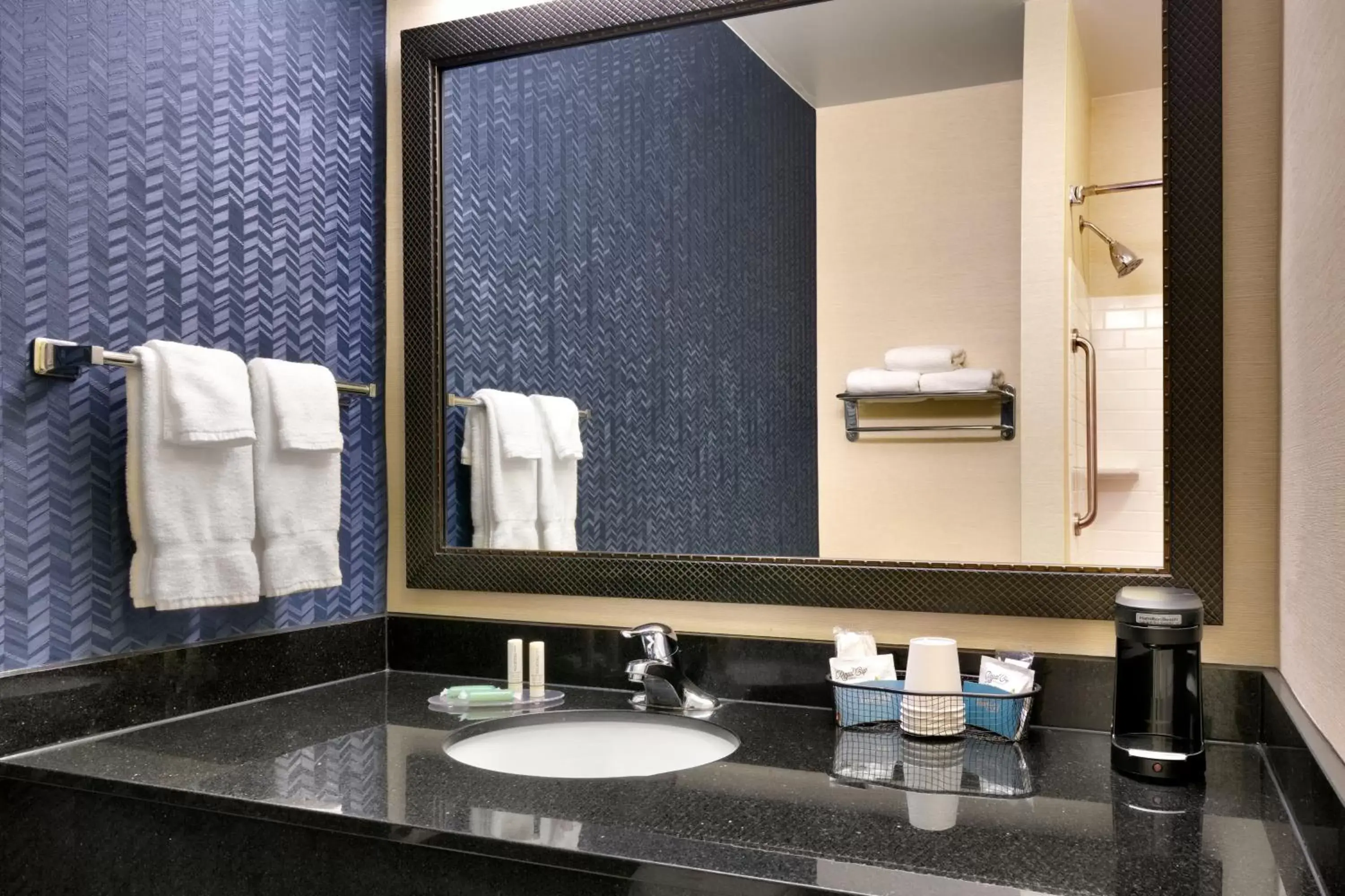 Bathroom in Fairfield Inn & Suites by Marriott Tallahassee Central