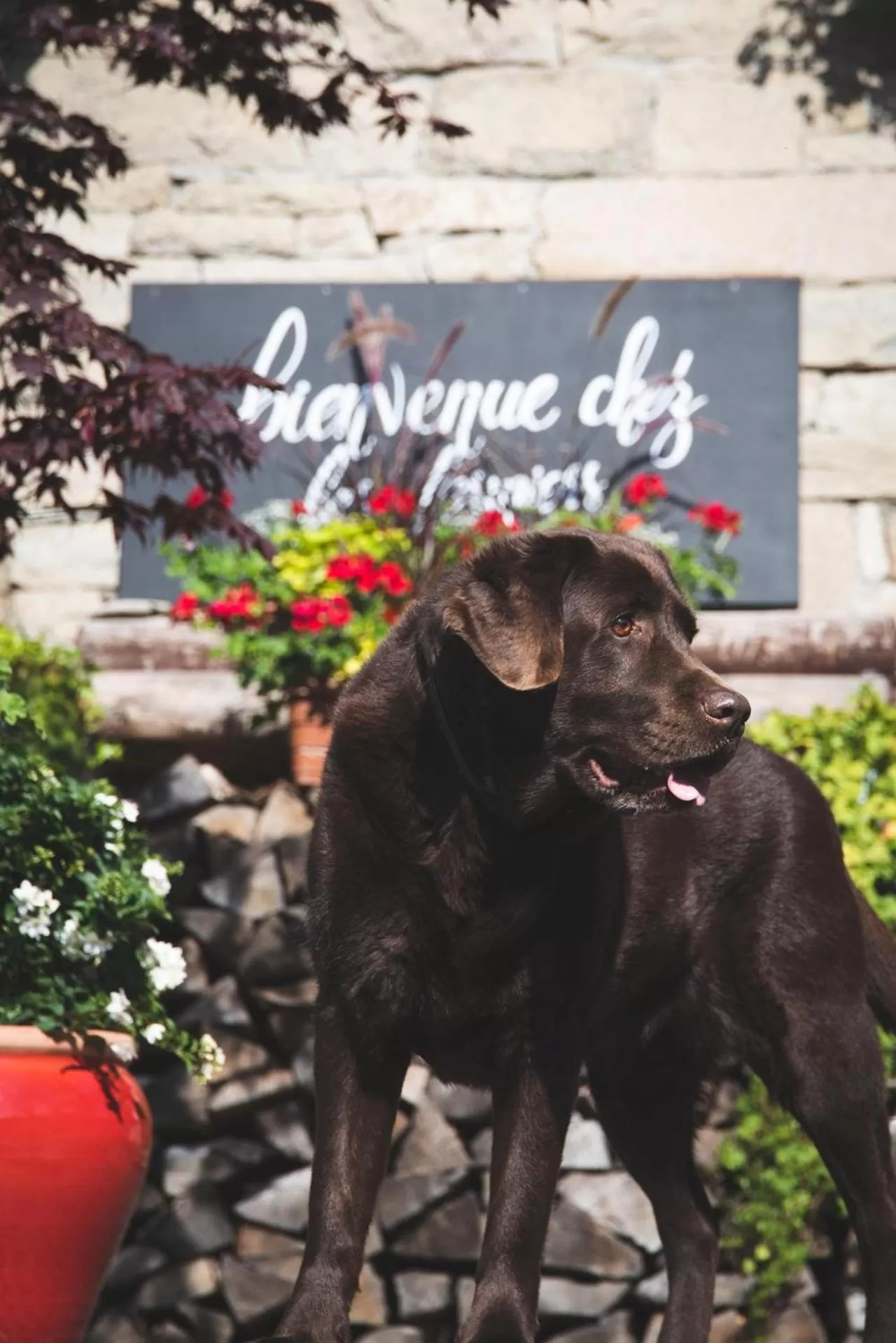 Property building in La Ferme