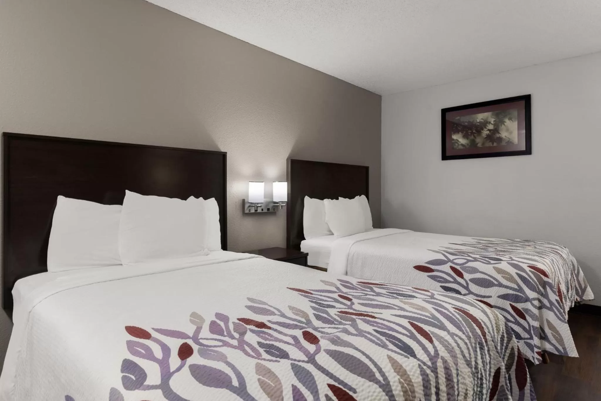 Photo of the whole room, Bed in Red Roof Inn & Suites Savannah Airport