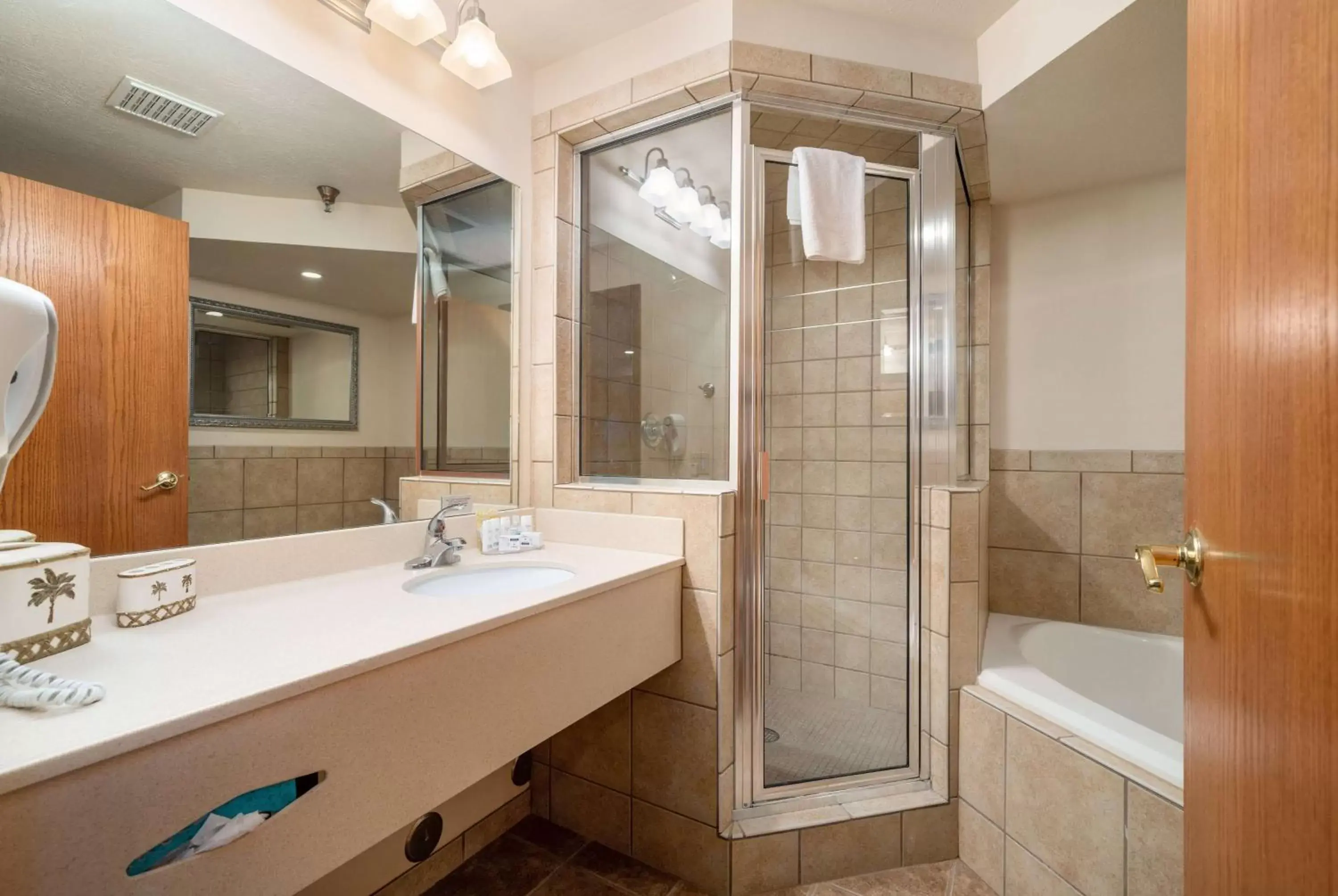 TV and multimedia, Bathroom in Ramada by Wyndham Sioux Falls Airport - Waterpark Resort & Event Center