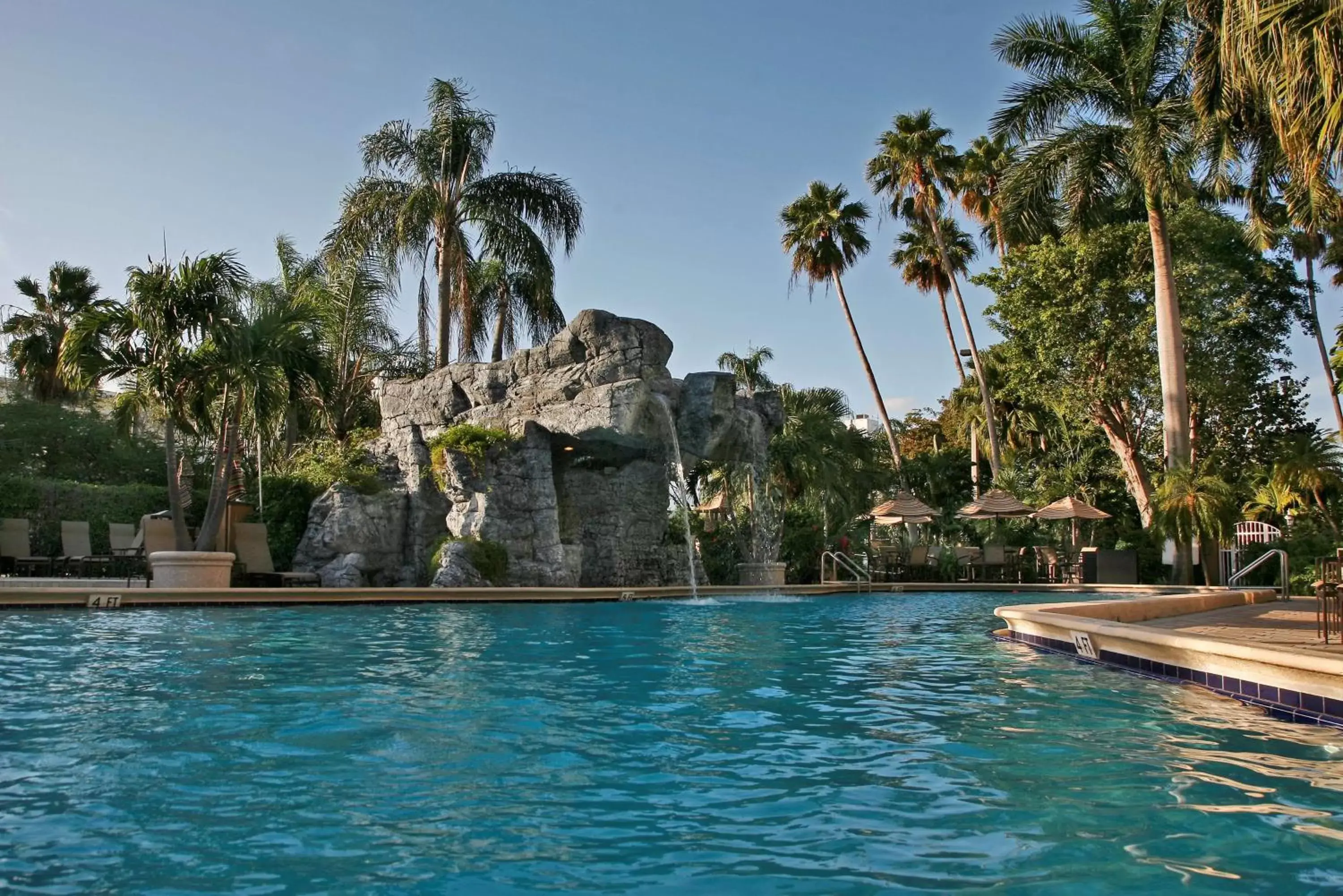 Pool view, Swimming Pool in Embassy Suites by Hilton Fort Lauderdale 17th Street