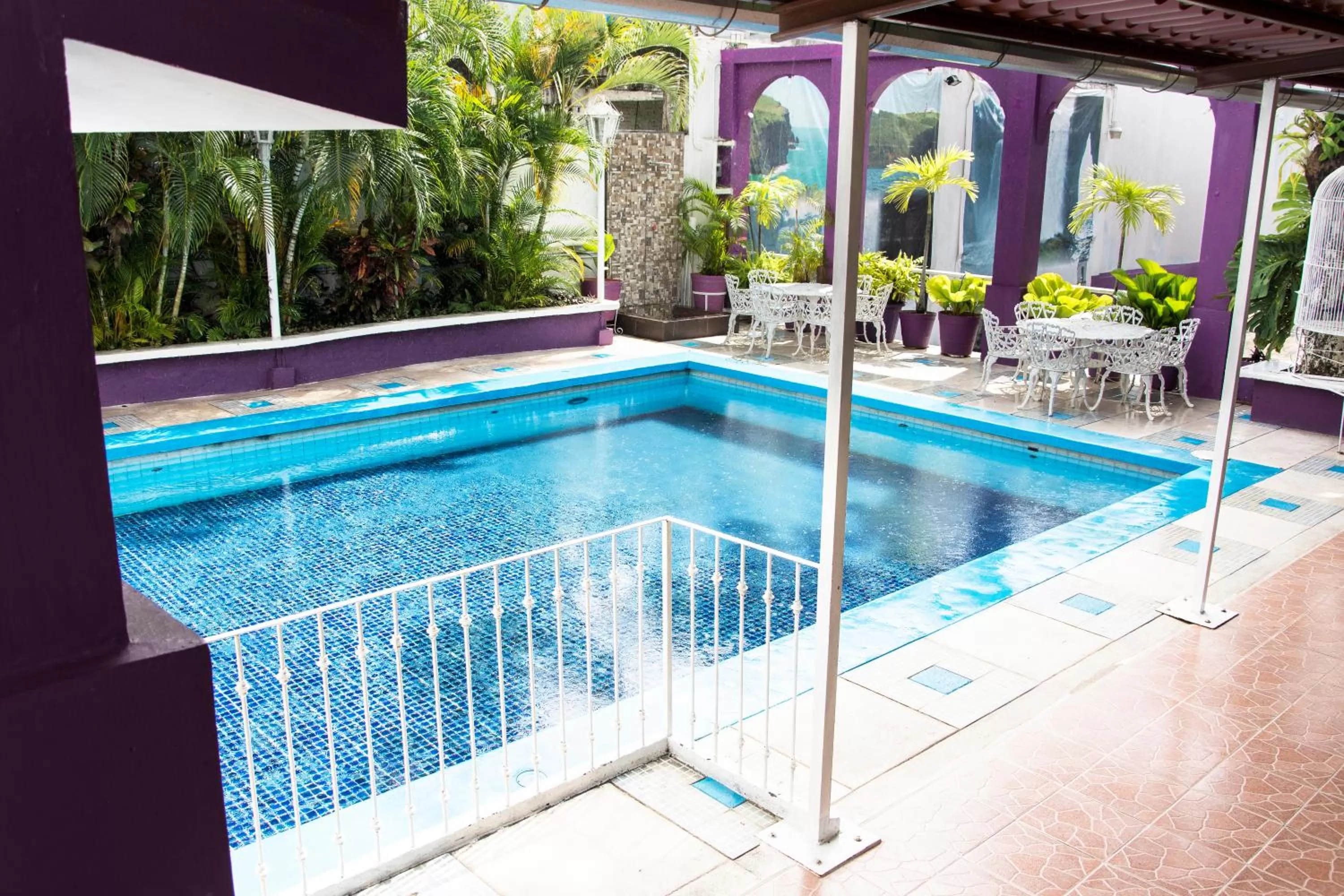 Pool view, Swimming Pool in Hotel Michelle