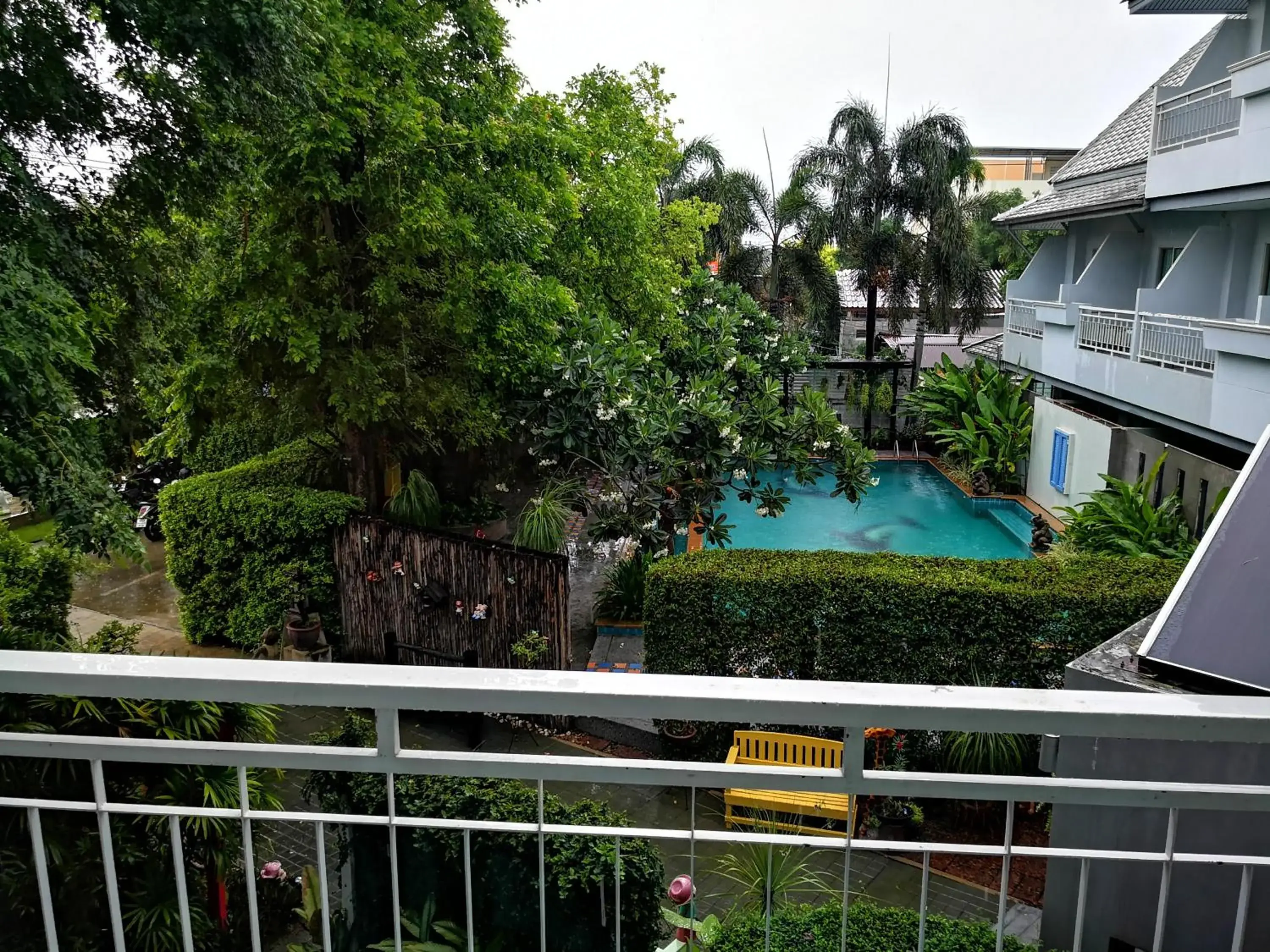 Pool view in Baan Suksiri Hotel Pool view in Baan Suksiri Hotel