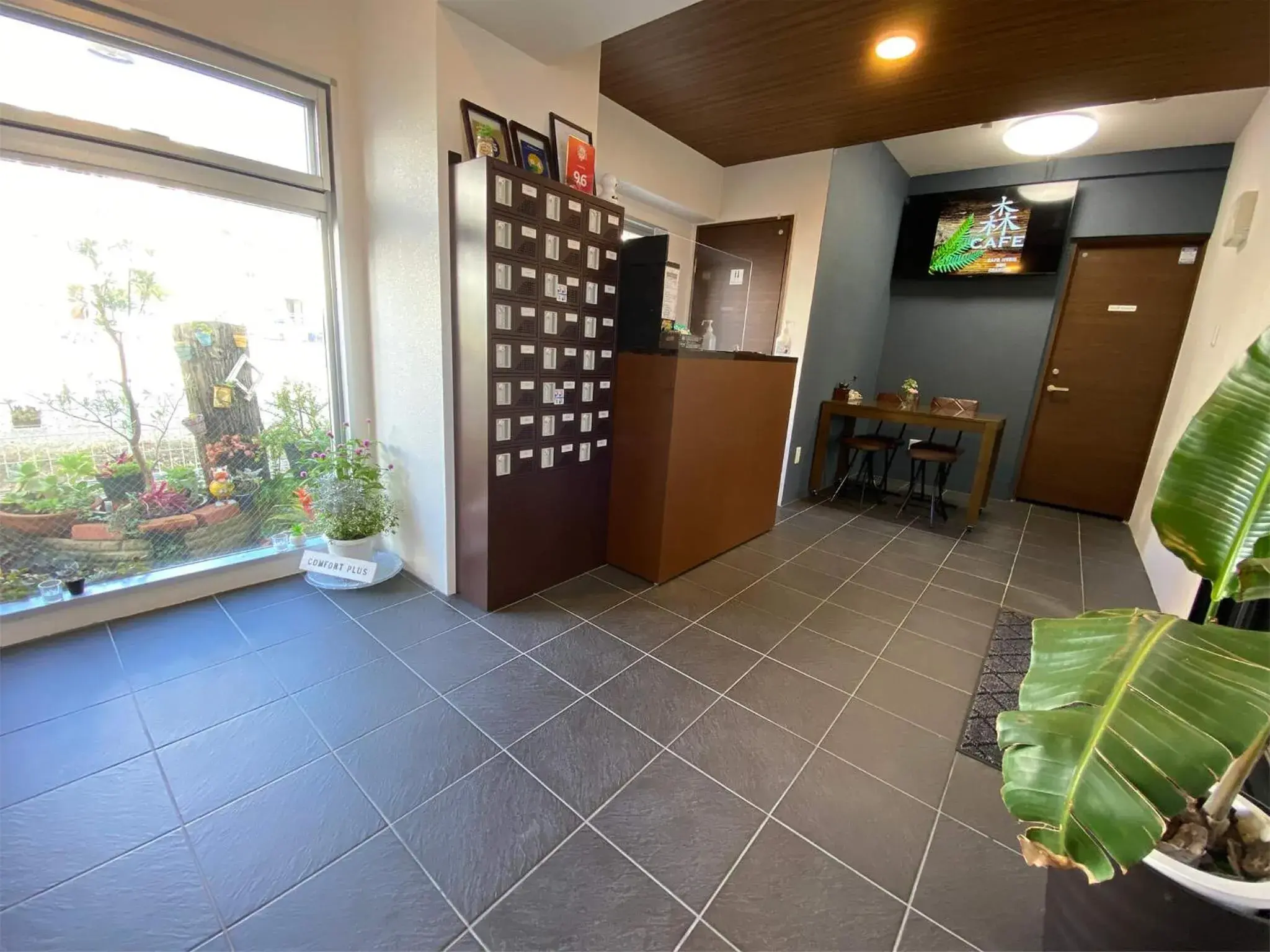 Lobby or reception in Comfort Plus Lobby or reception in Comfort Plus