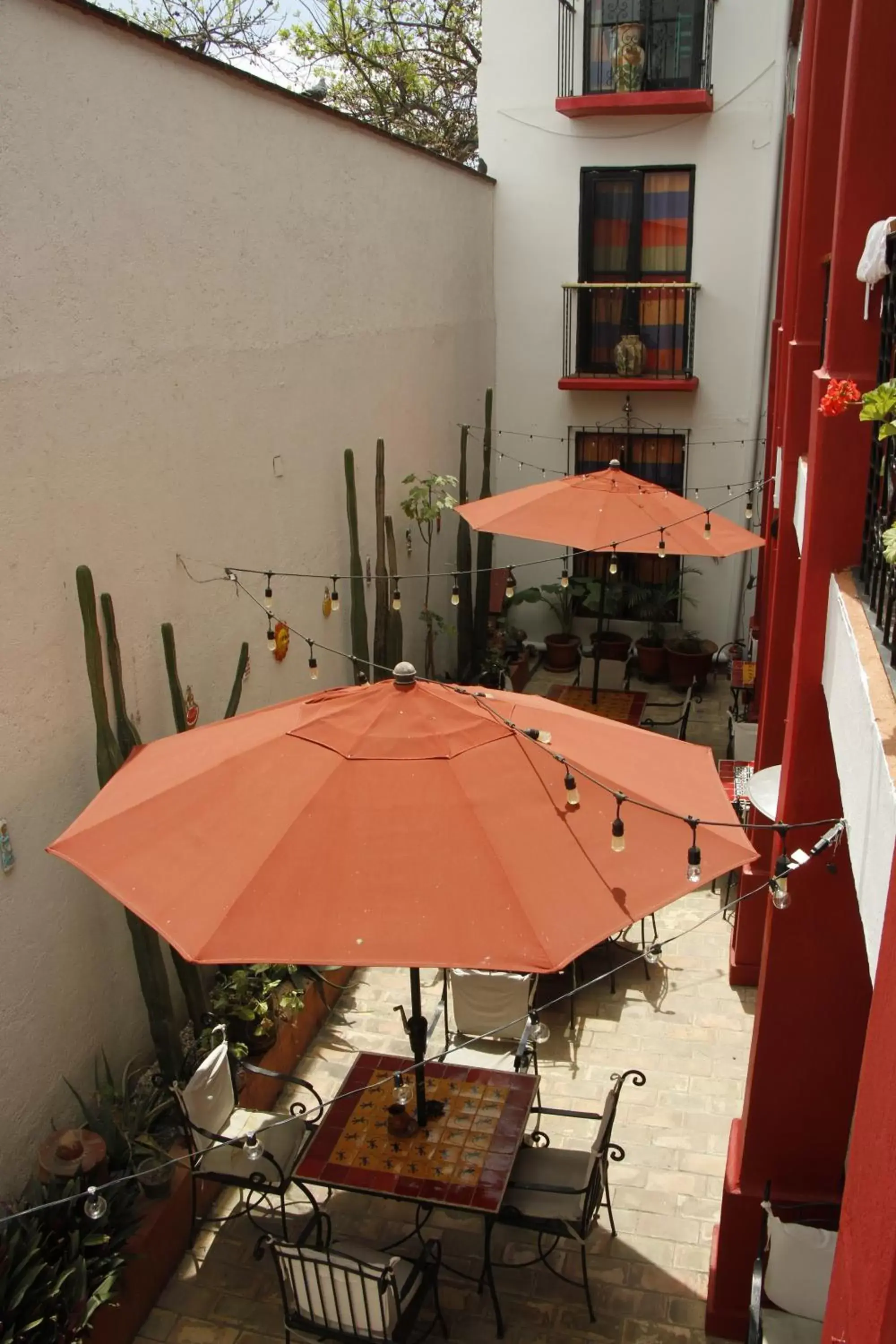 Patio in Posada Don Mario