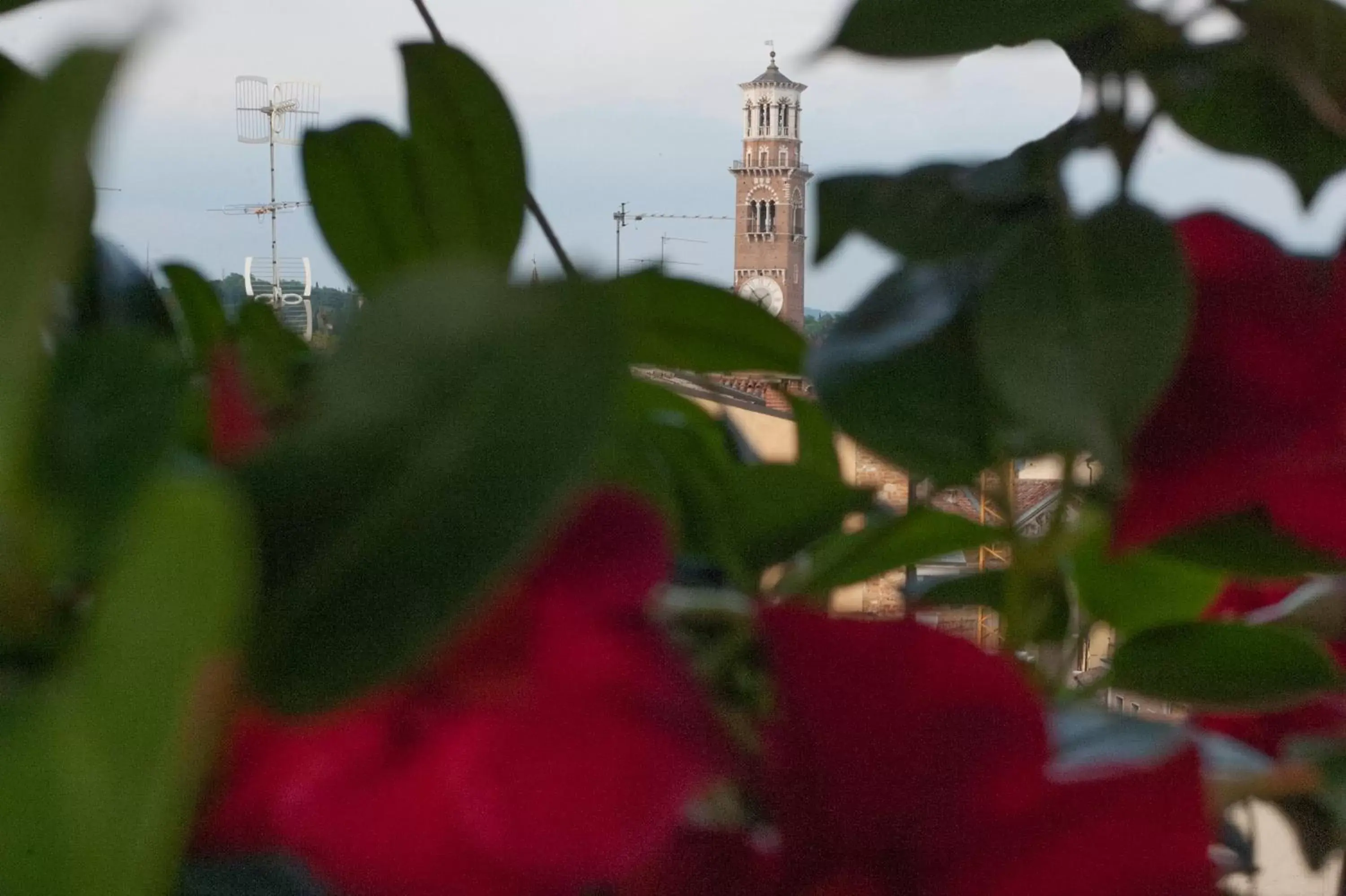 Balcony/Terrace in Hotel Bologna ***S