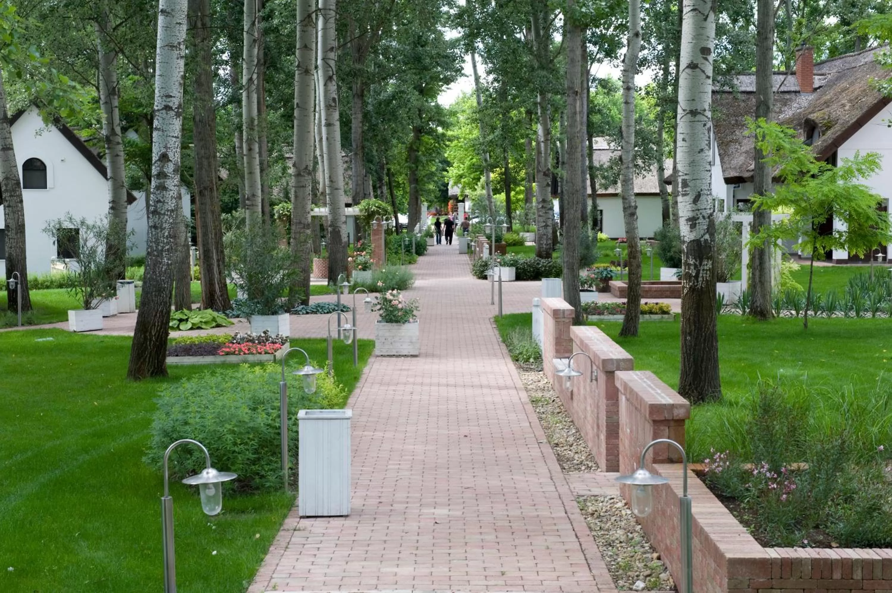 Day in Varga Tanya Hotel