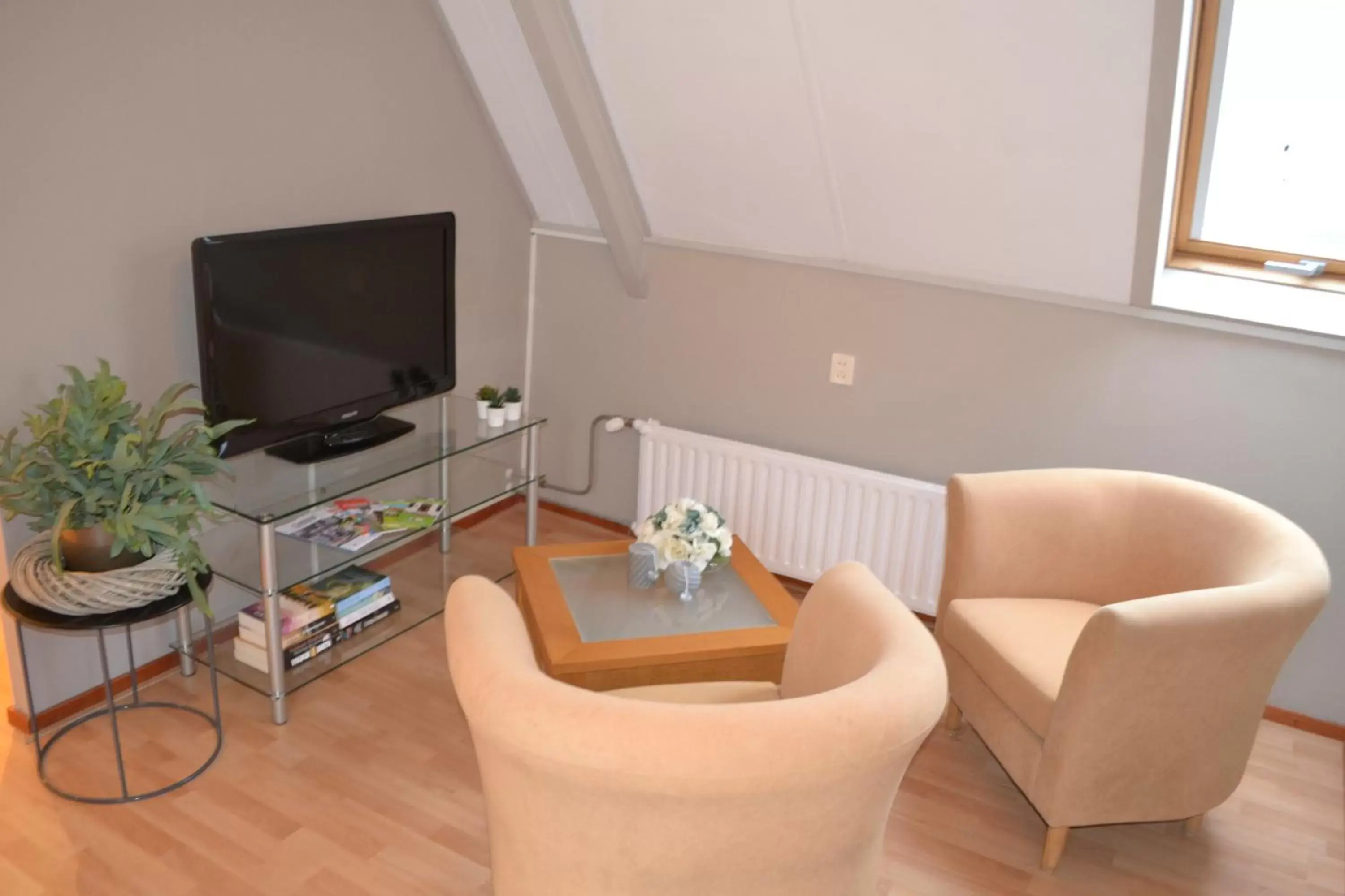 TV/Entertainment Center in B&BBolwerk