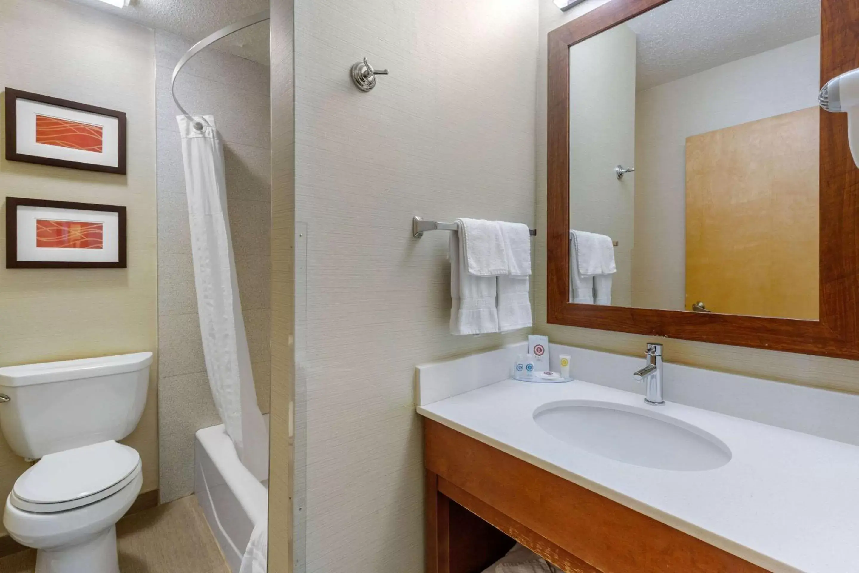Photo of the whole room, Bathroom in Comfort Inn Trolley Square