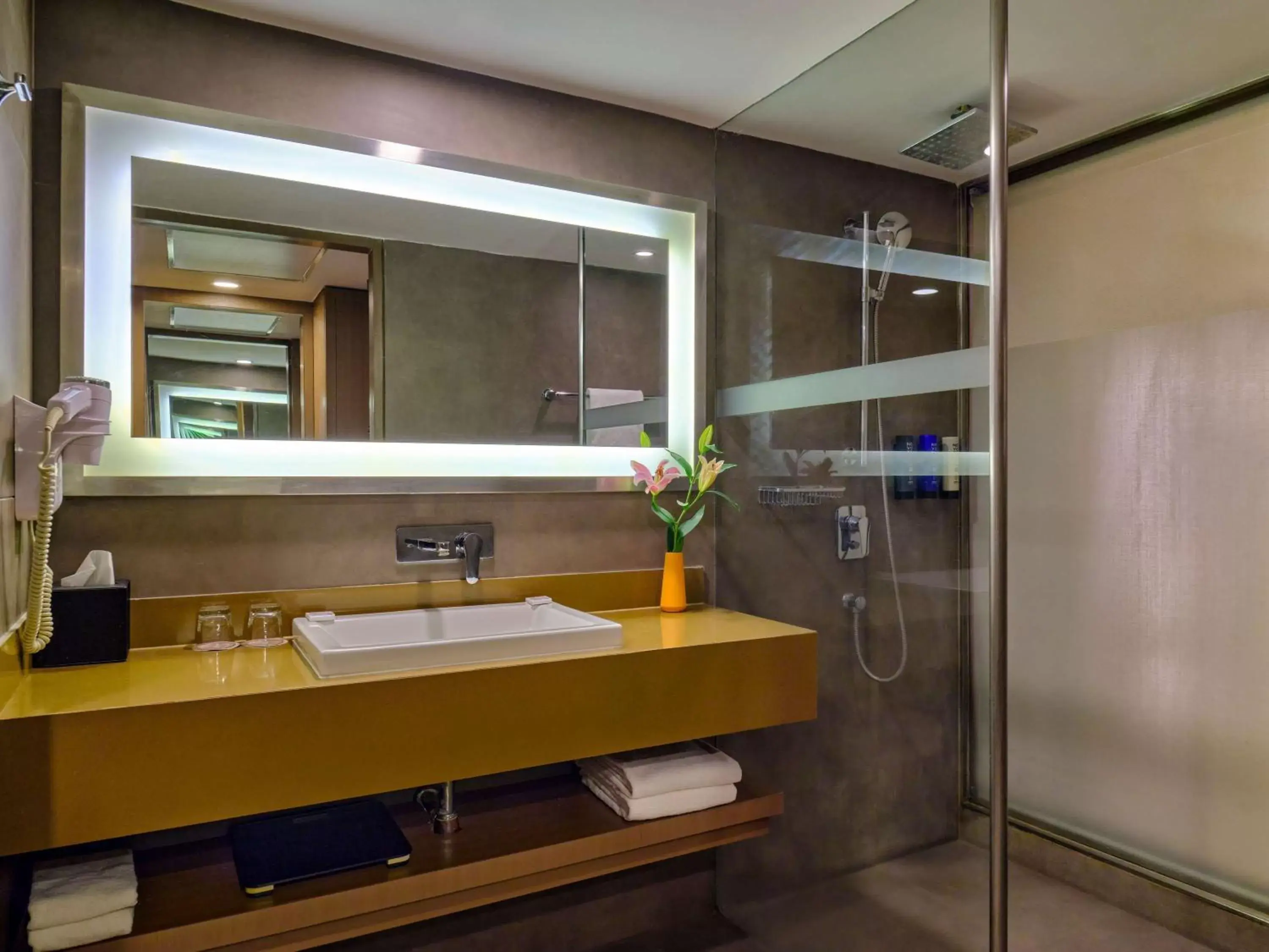 Bathroom in Novotel Ahmedabad