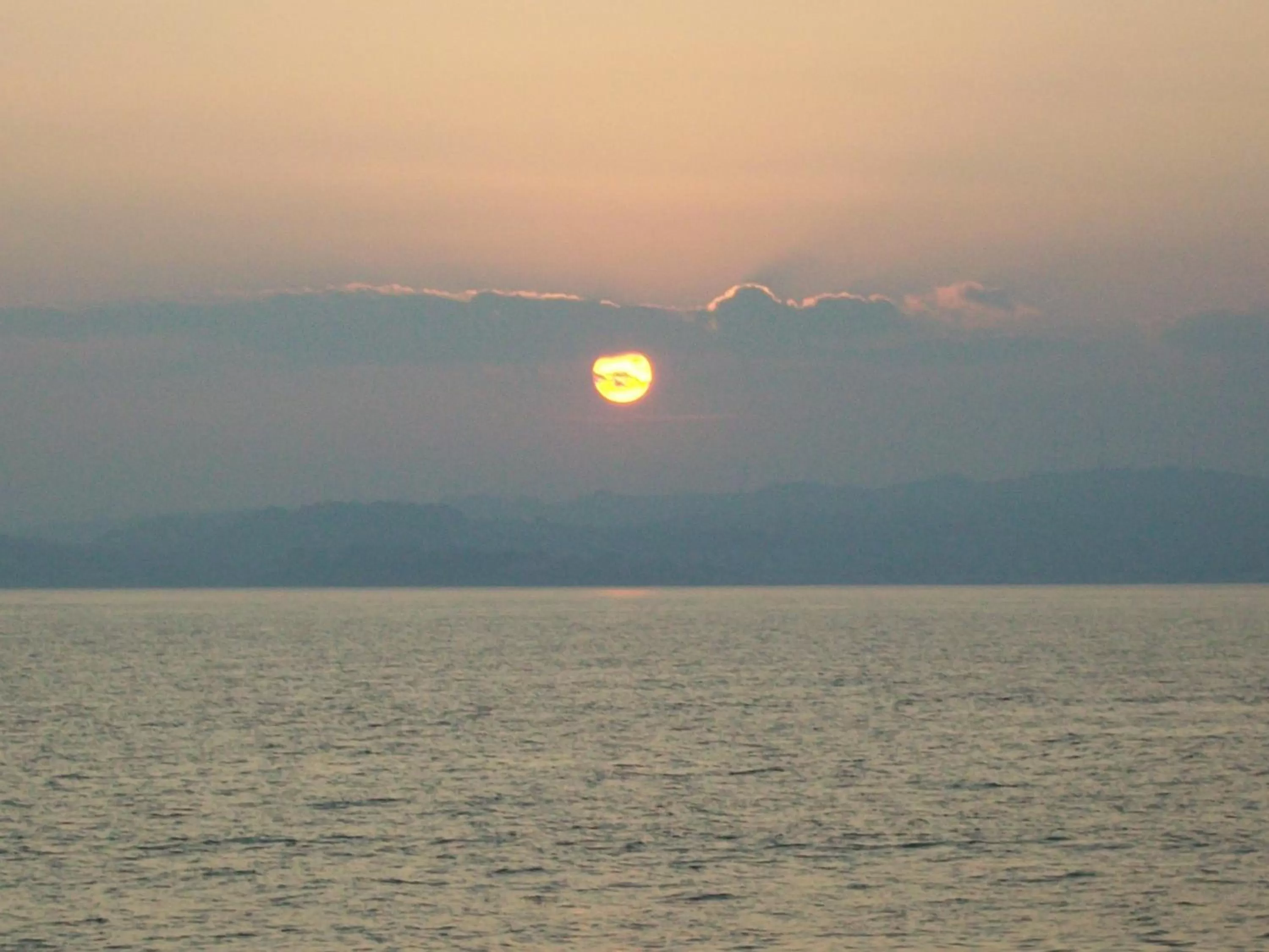 Beach in Trentham House