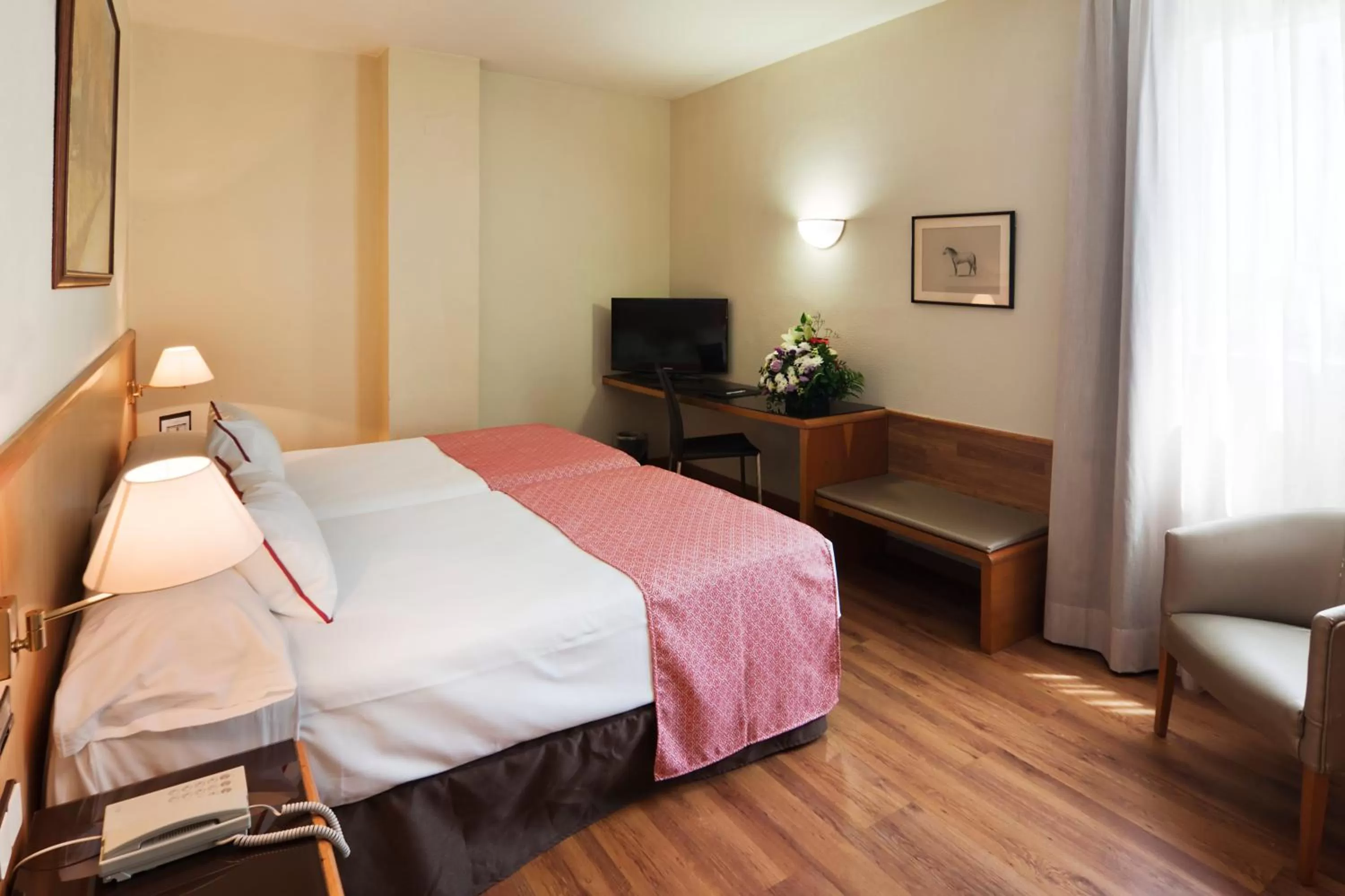 Double Room in Catalonia Hispalis