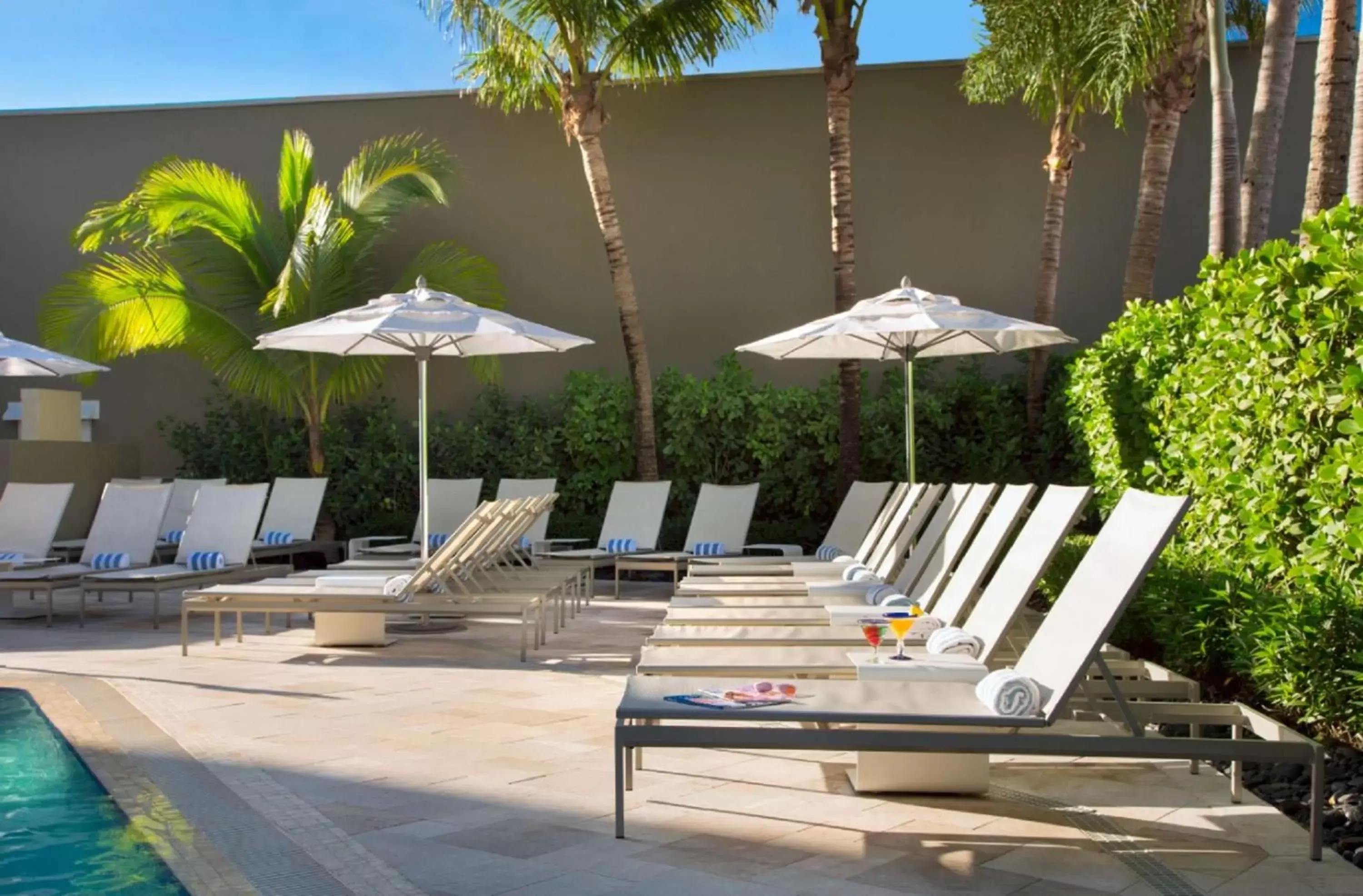 Activities, Swimming Pool in Sonesta Fort Lauderdale Beach