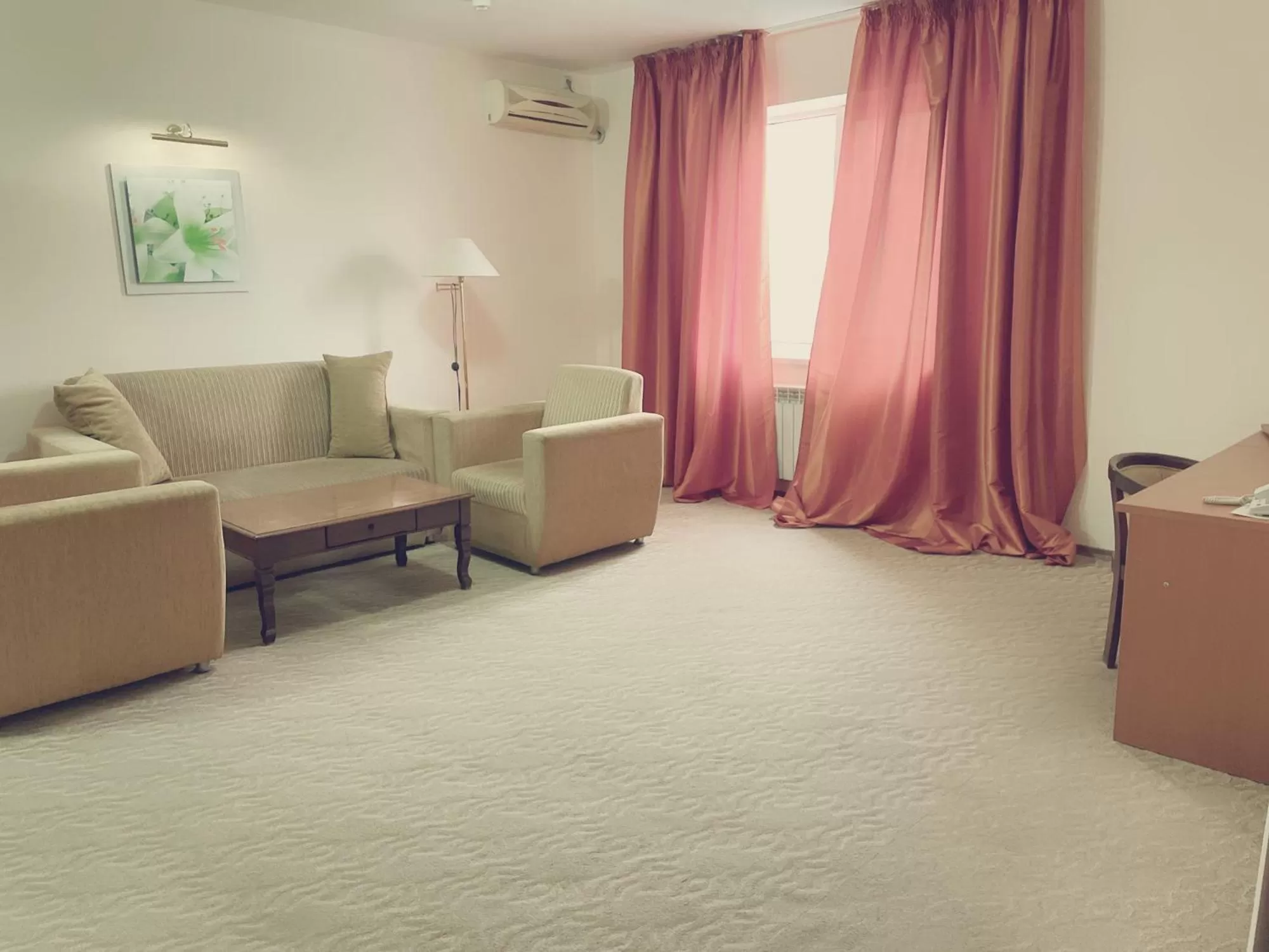 Living room in Tengri Hotel