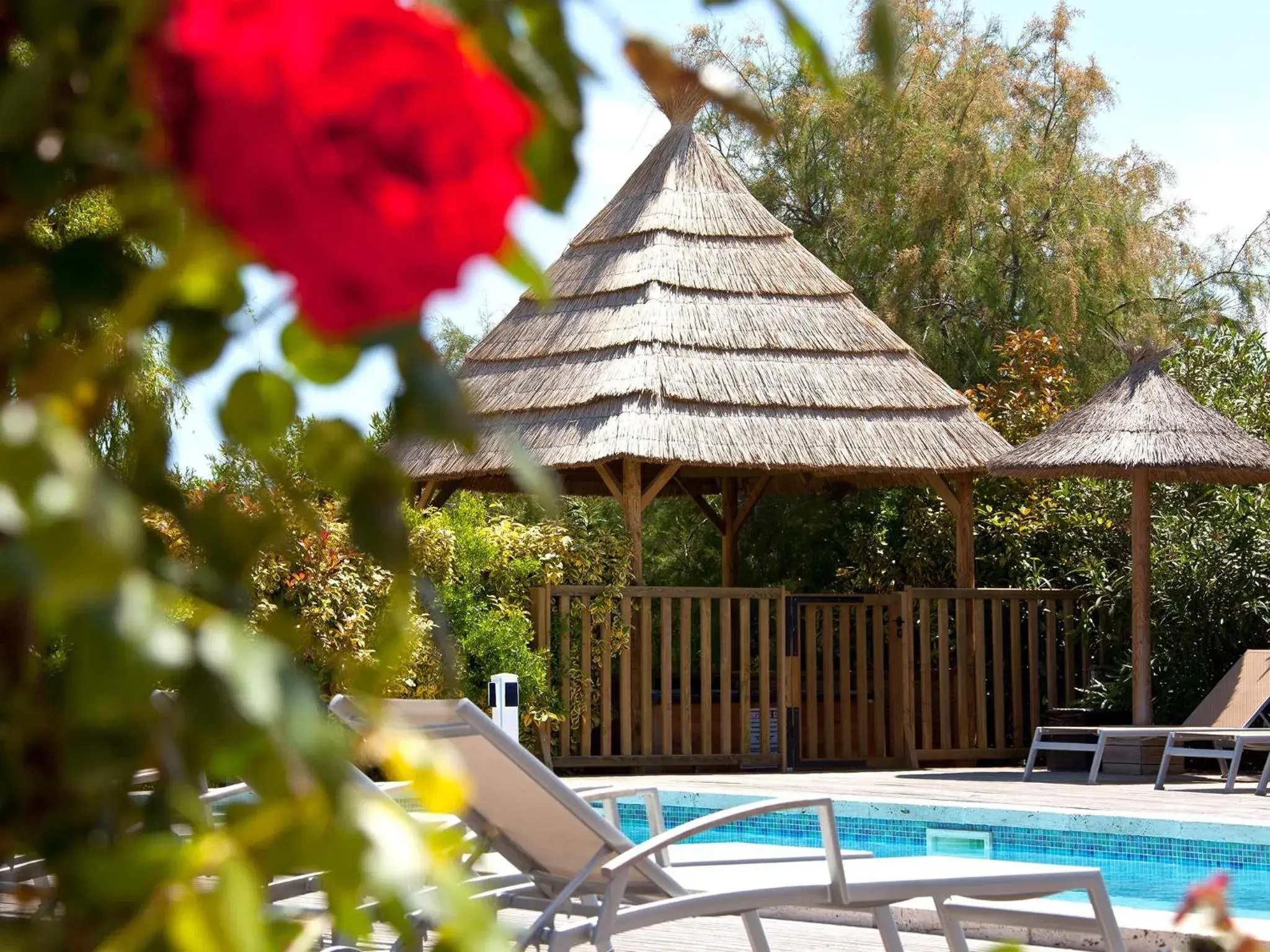 Swimming Pool in Le Mas de Cocagne