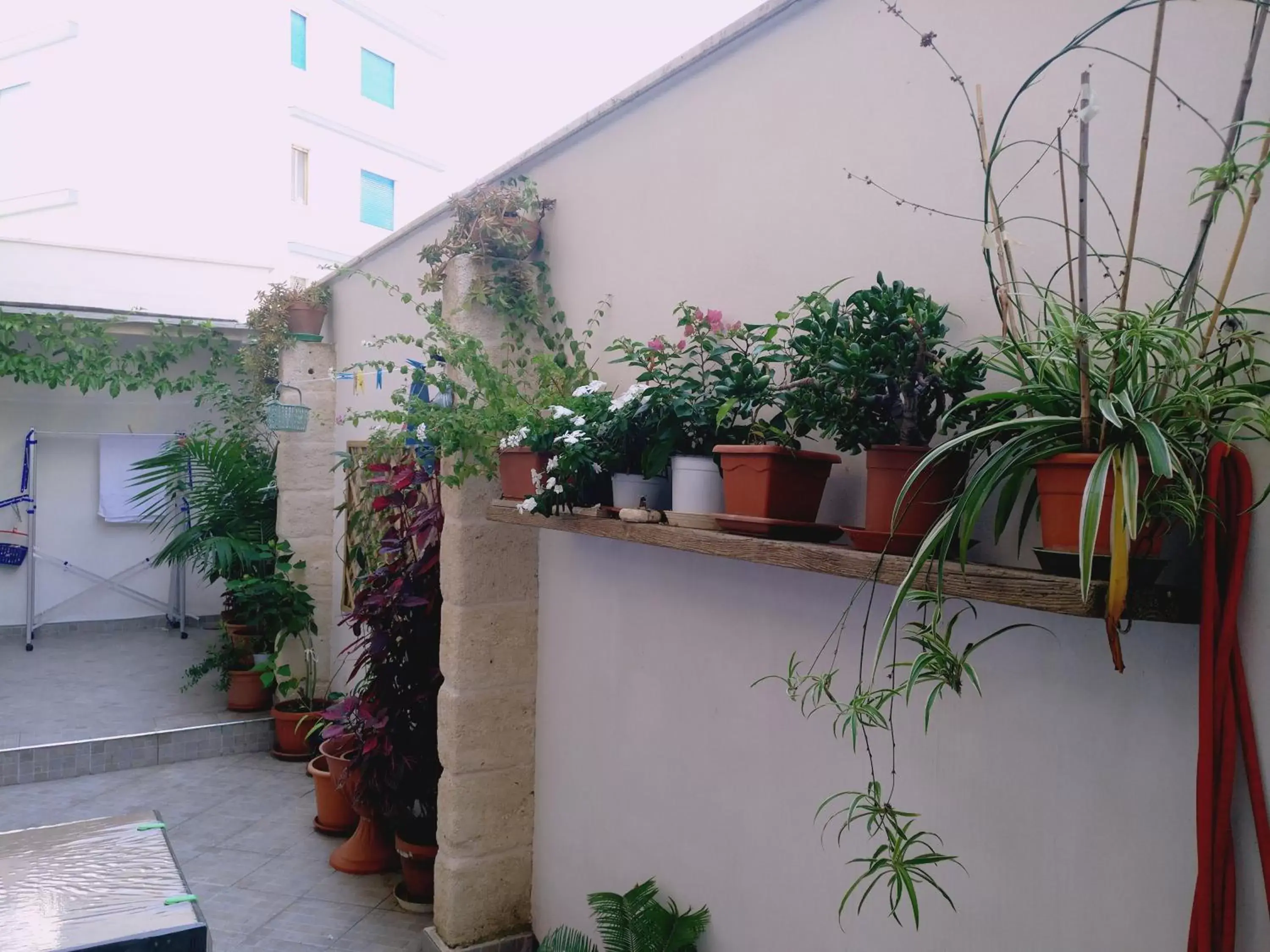 Property building in Casa della Nonna Polignano a mare