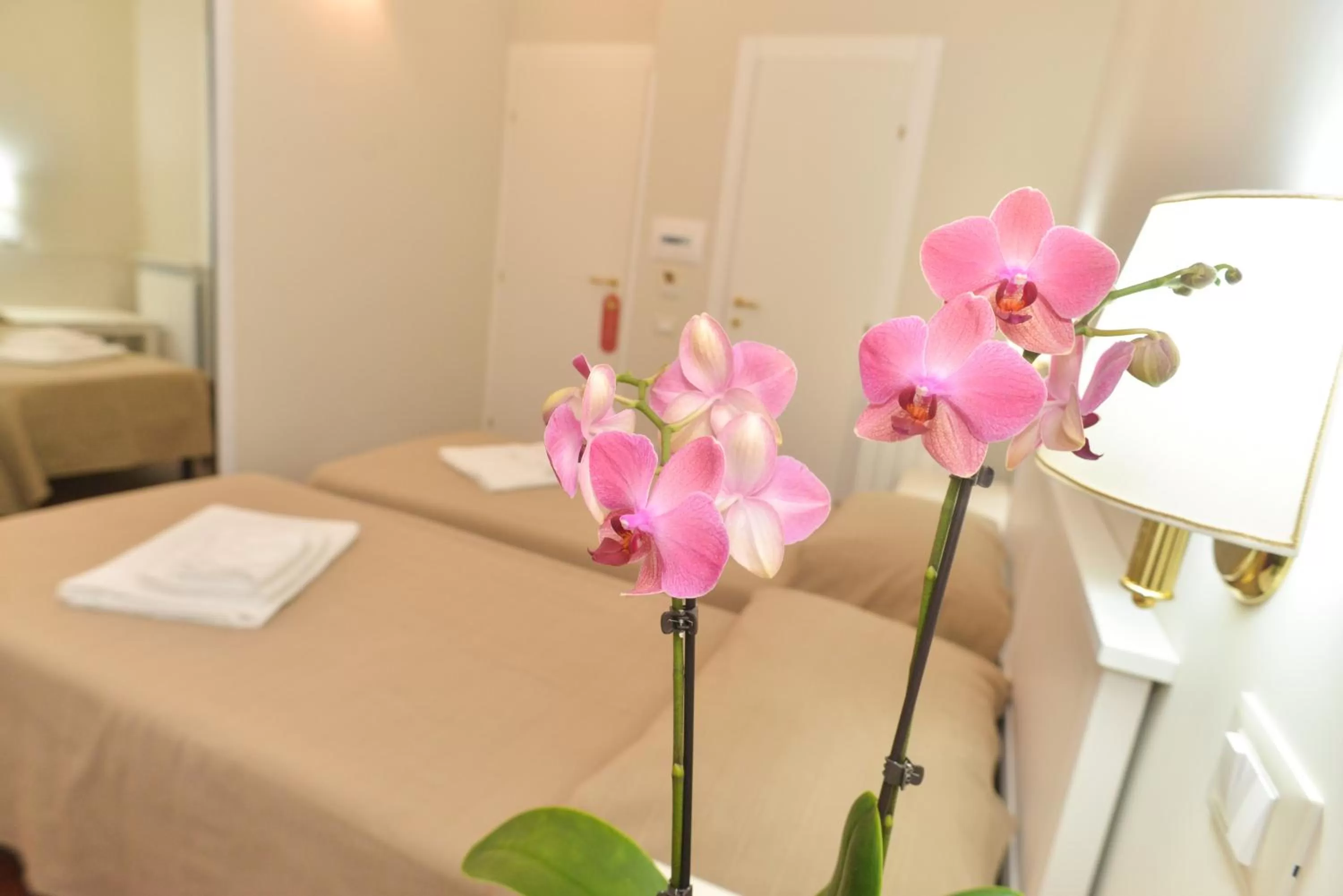 Day, Bed in Romebest