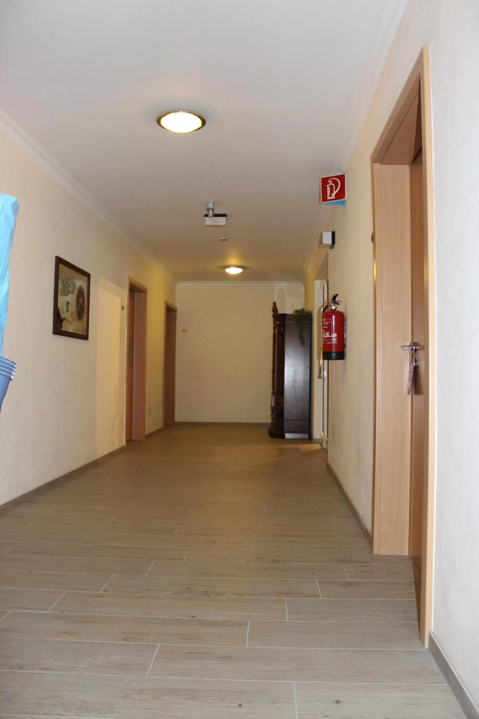 Other in Hotel America