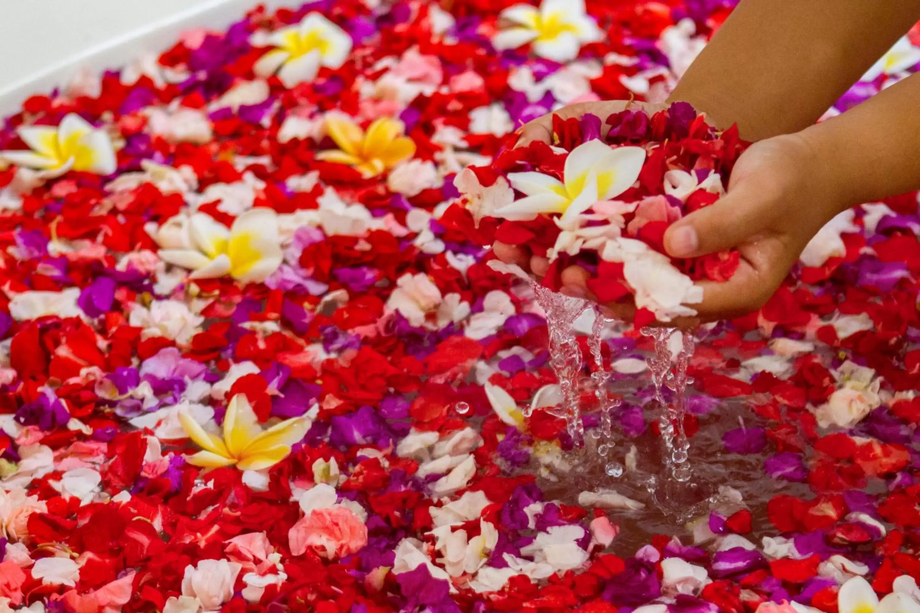 Spa and wellness centre/facilities in Bali Taman Beach Resort & Spa Lovina Spa and wellness centre/facilities in Bali Taman Beach Resort & Spa Lovina