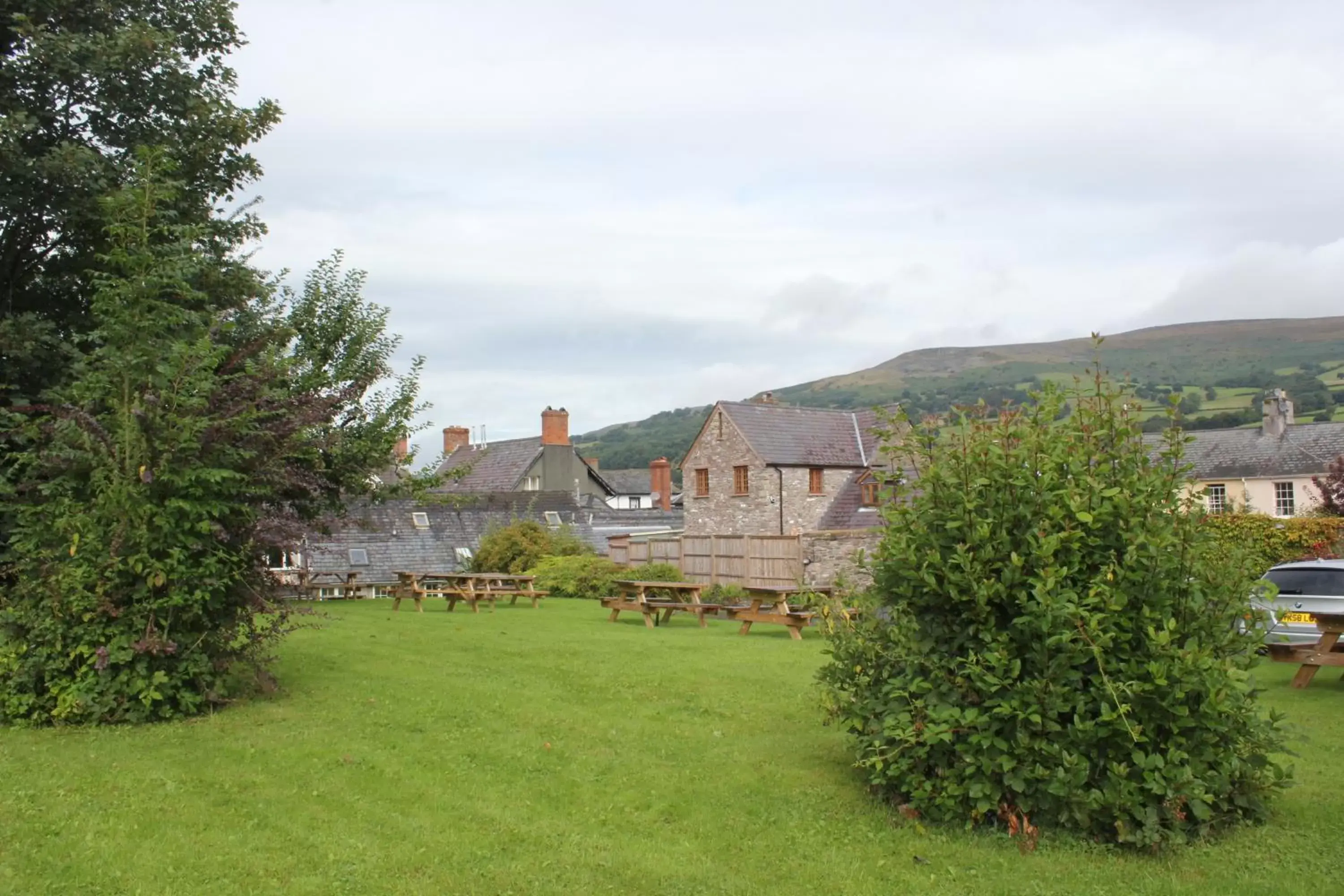 Garden, Property Building in Dragon Inn