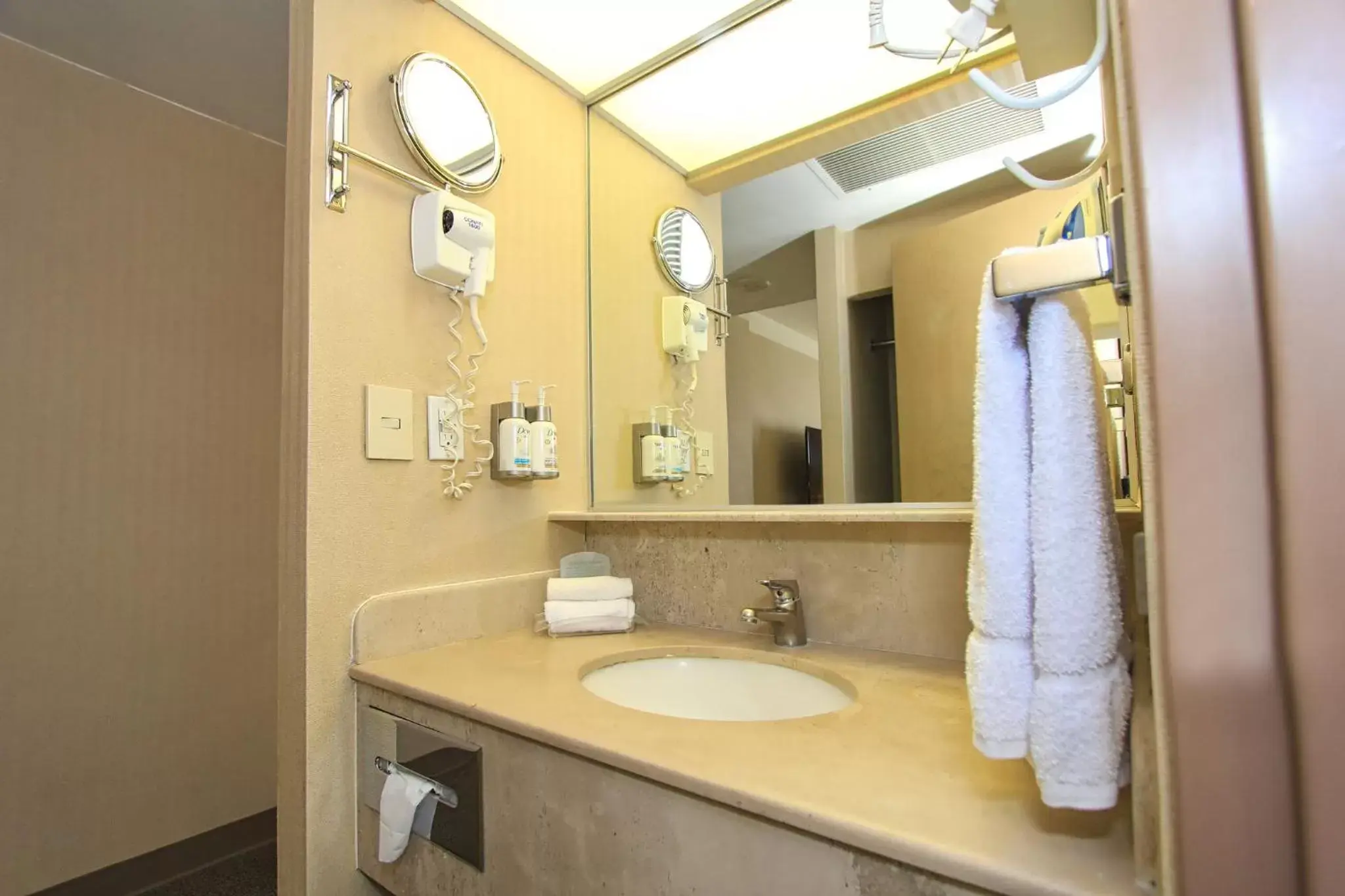 Bathroom in Holiday Inn Leon-Convention Center, an IHG Hotel