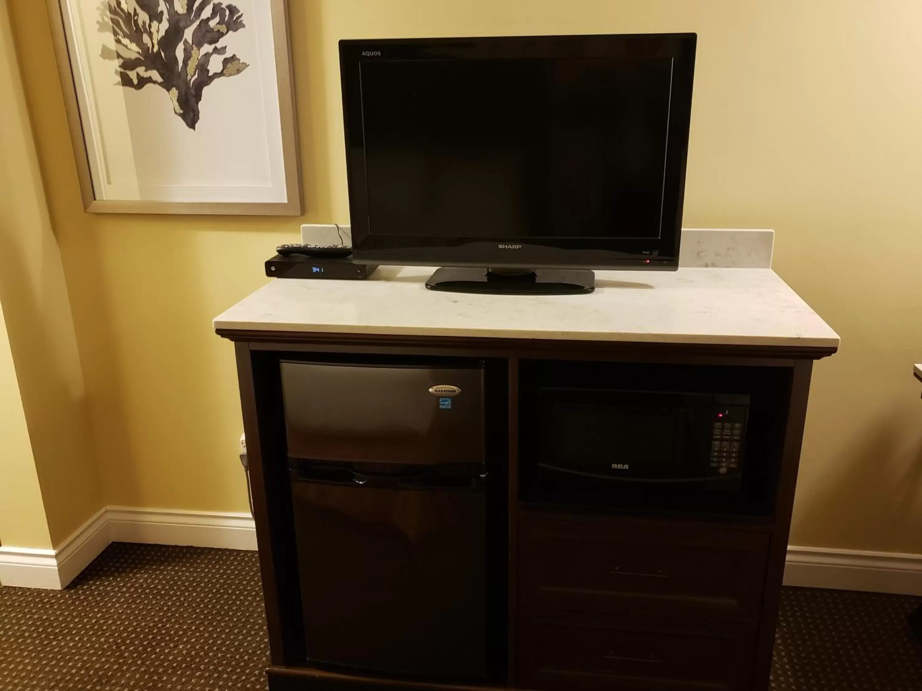 TV and multimedia, TV/Entertainment Center in Arbutus Inn