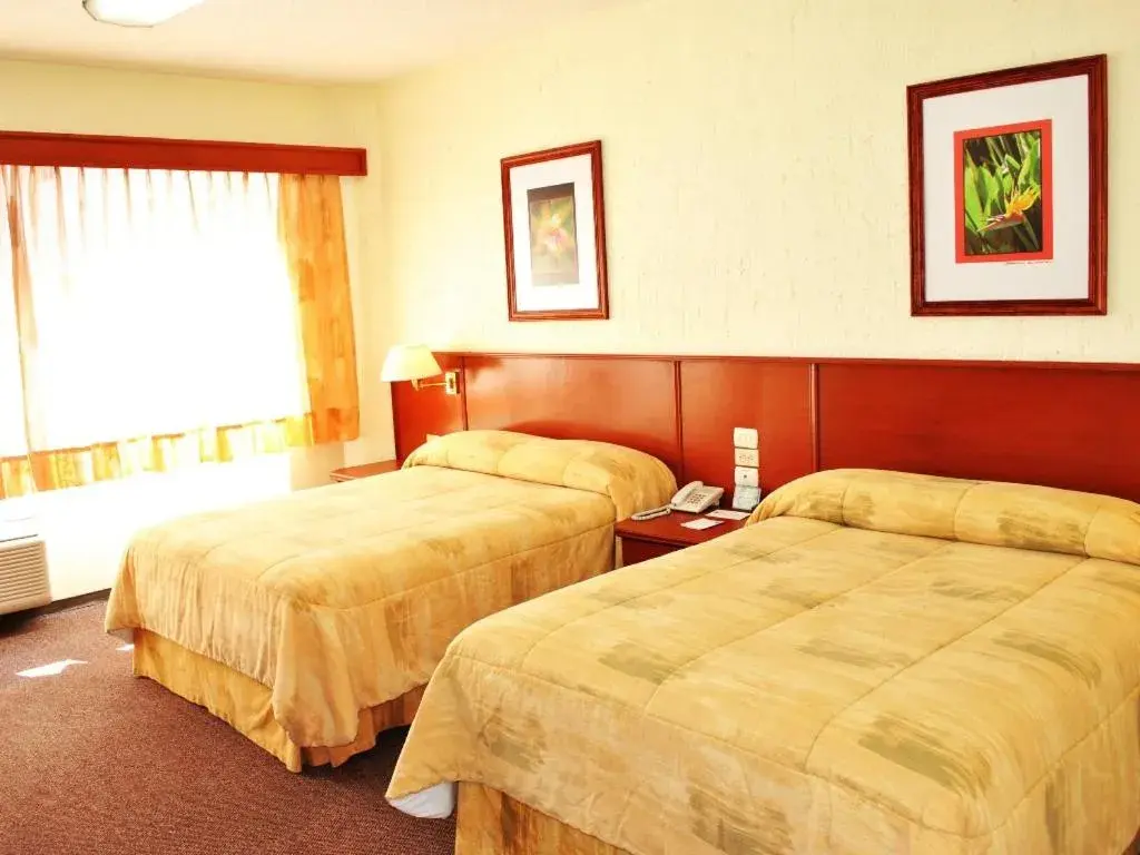 Room Photo in Hotel Marcella Clase Ejecutiva