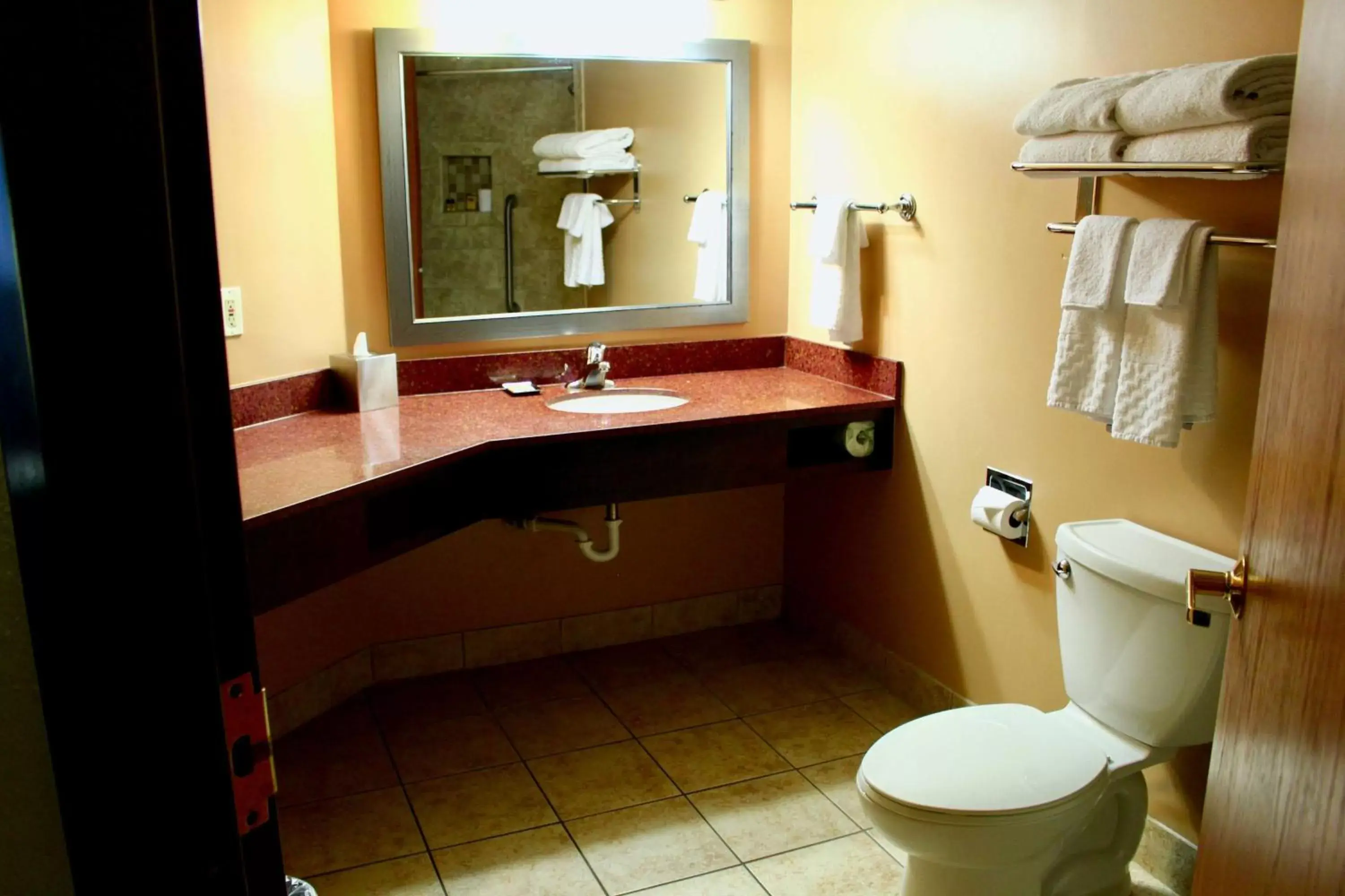 Bathroom in Best Western Plus Dakota Ridge