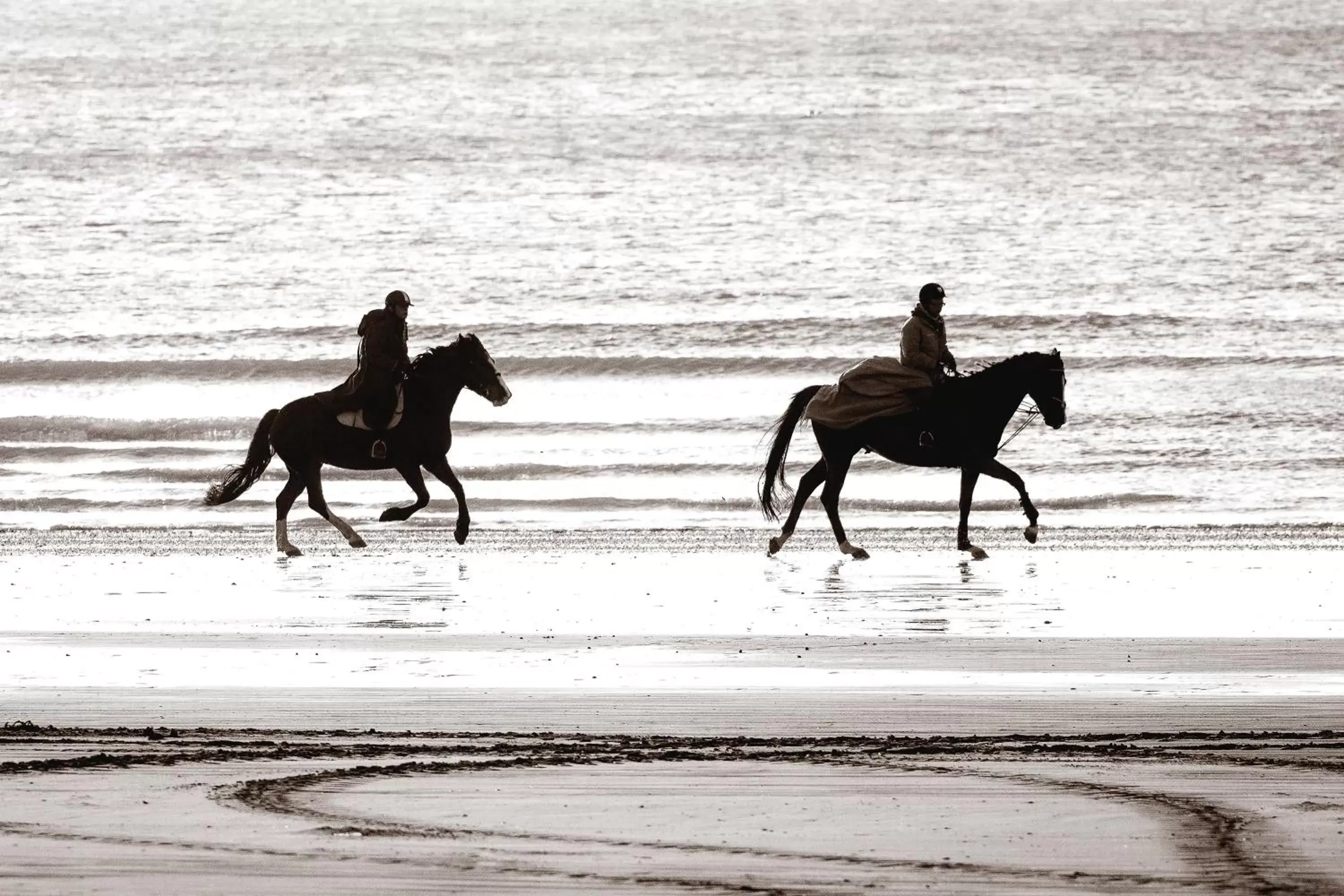 Horse-riding, Horseback Riding in Hôtel Restaurant BO & MIA