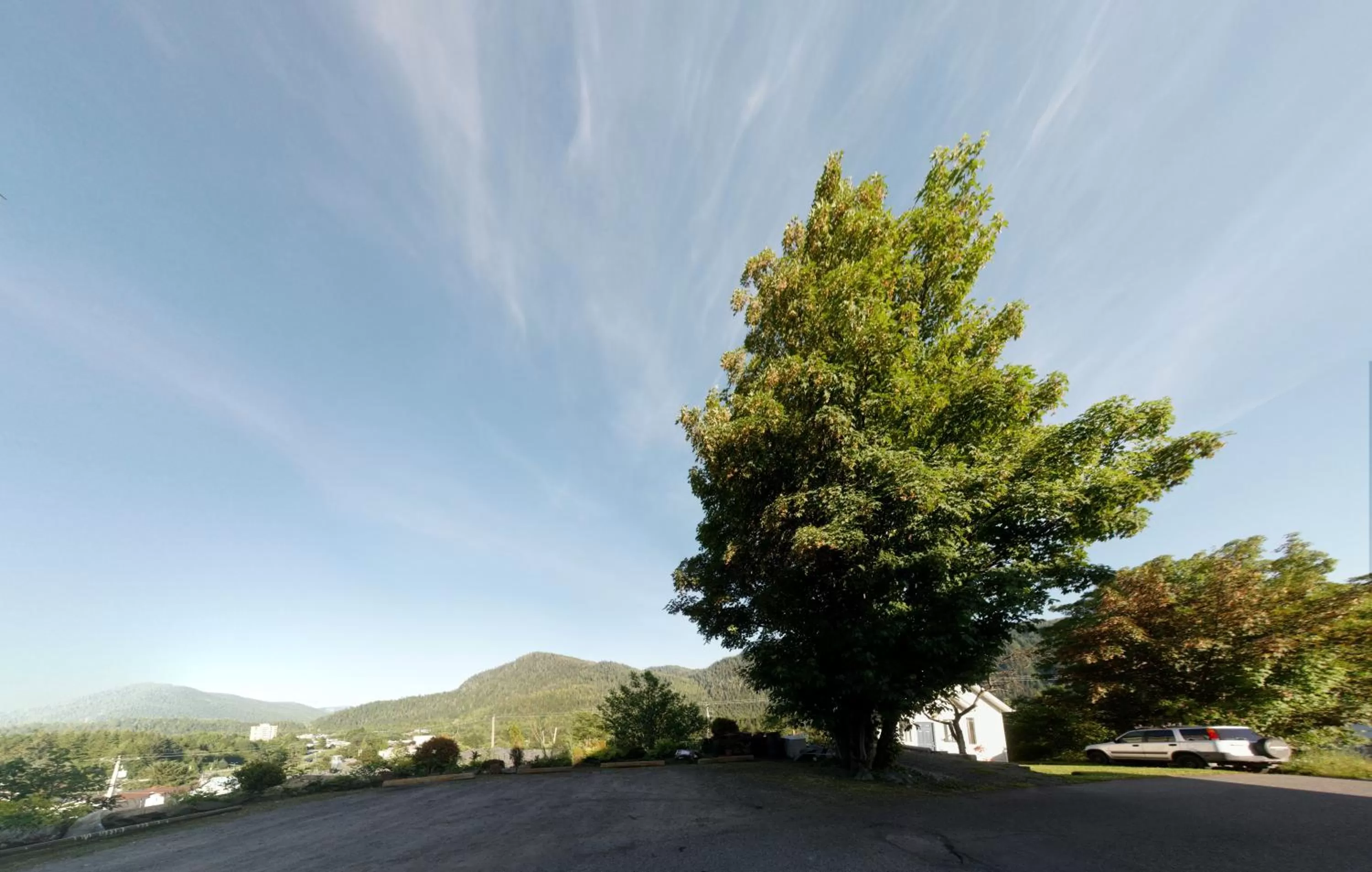 Mountain view in Black Rooster Guesthouse