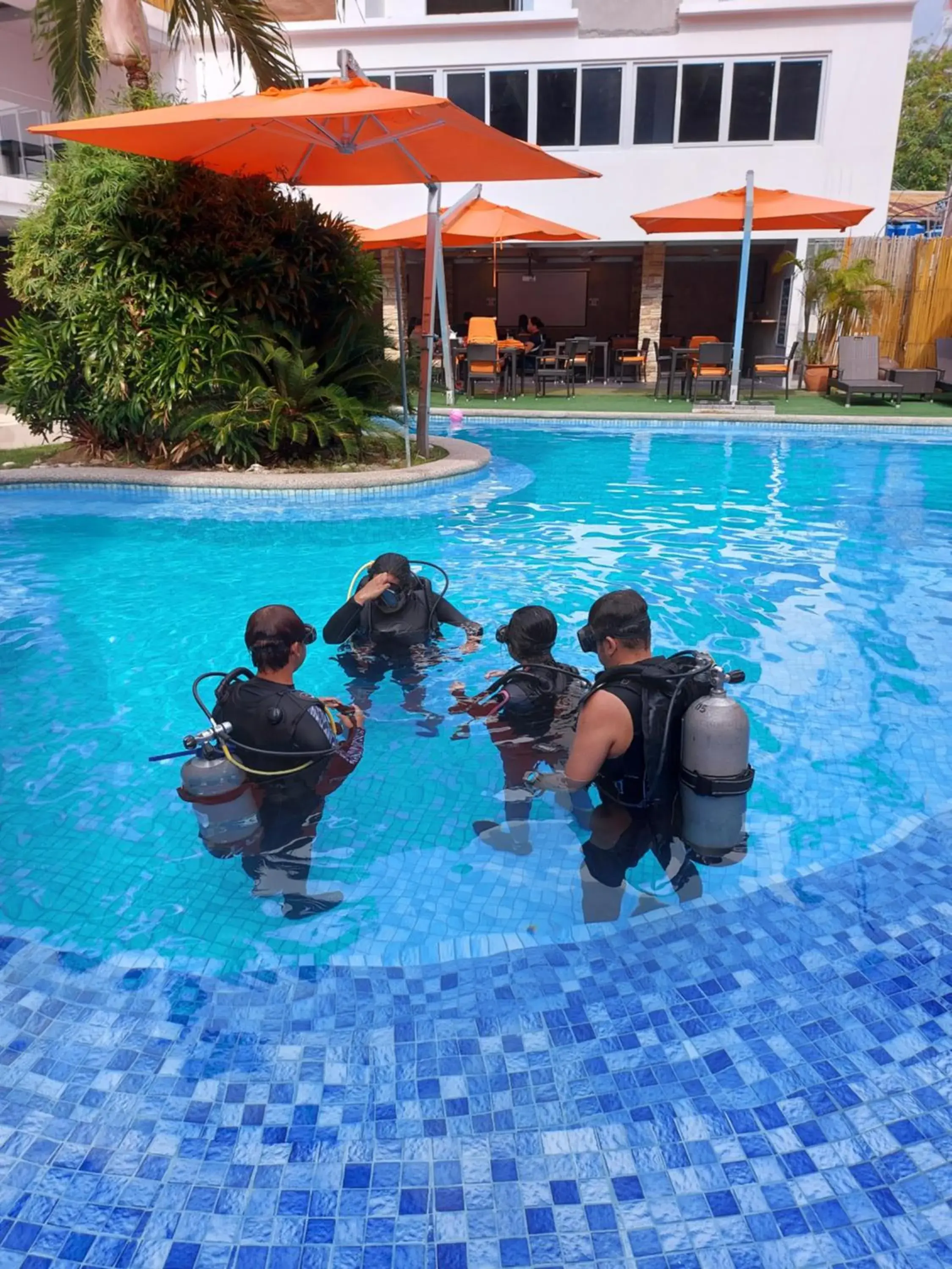Diving, Swimming Pool in Lalaguna Villas Luxury Dive Resort and Spa