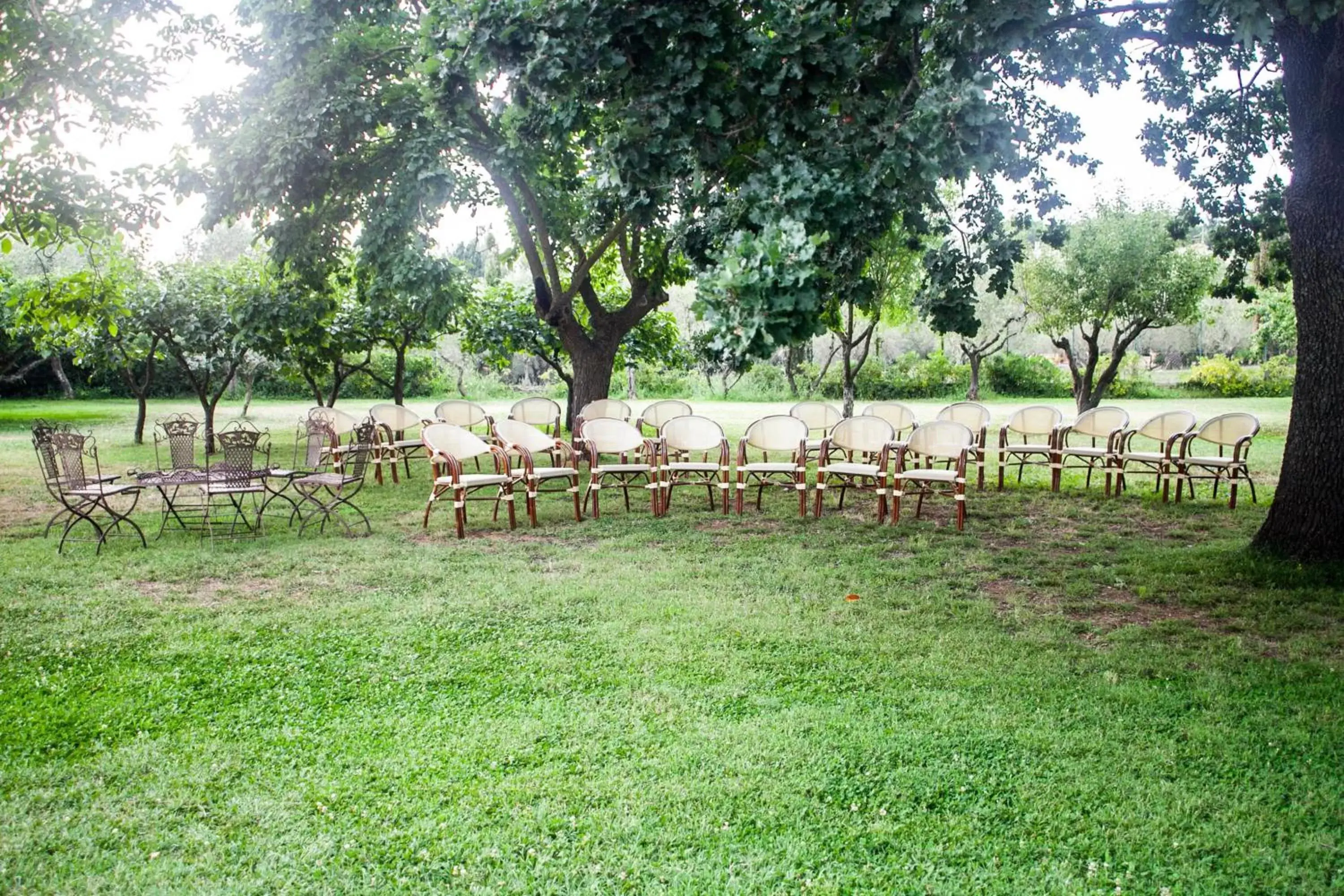 Garden in Villa Strampelli