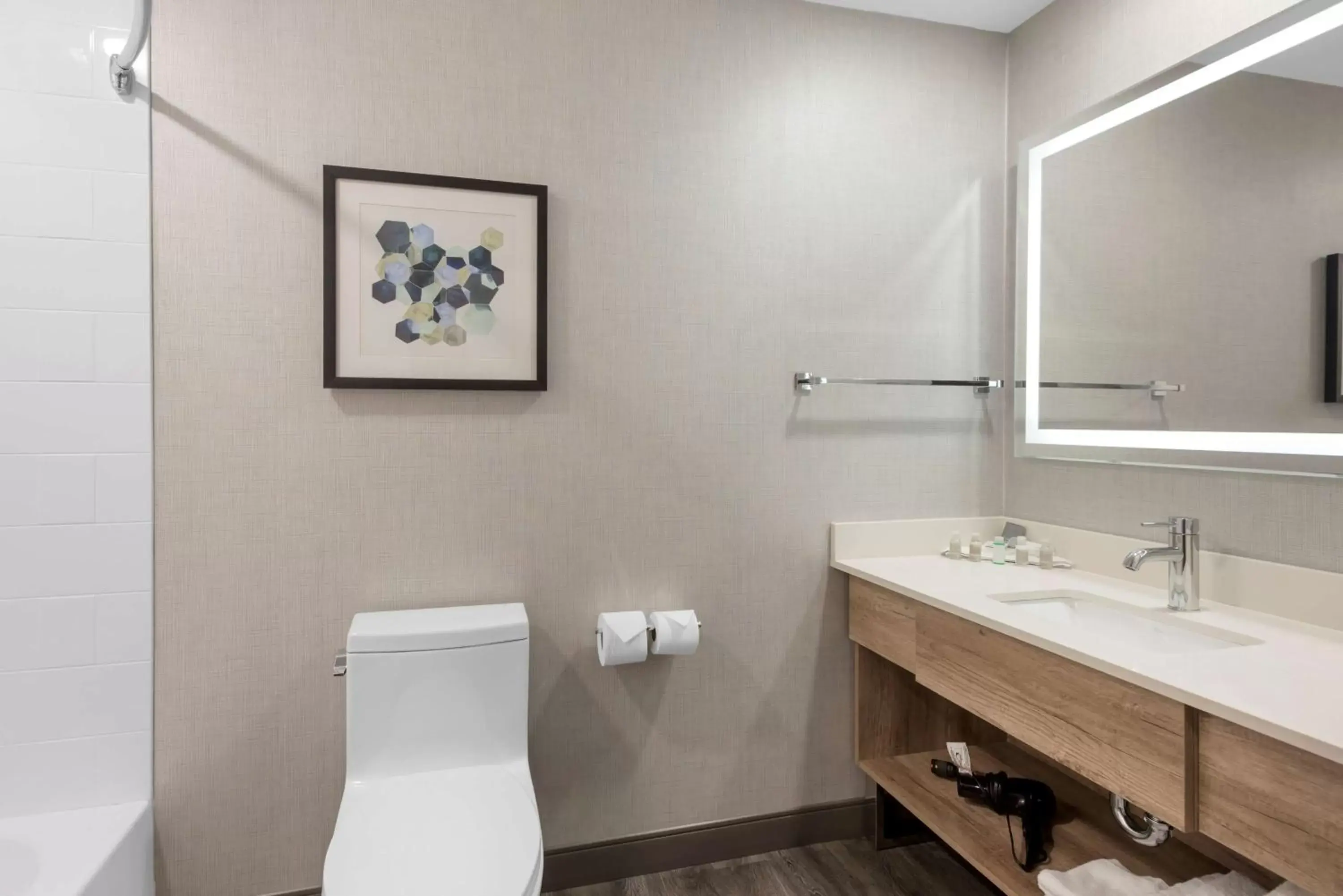 Bathroom in Best Western Premier Executive Residency Medicine Hat