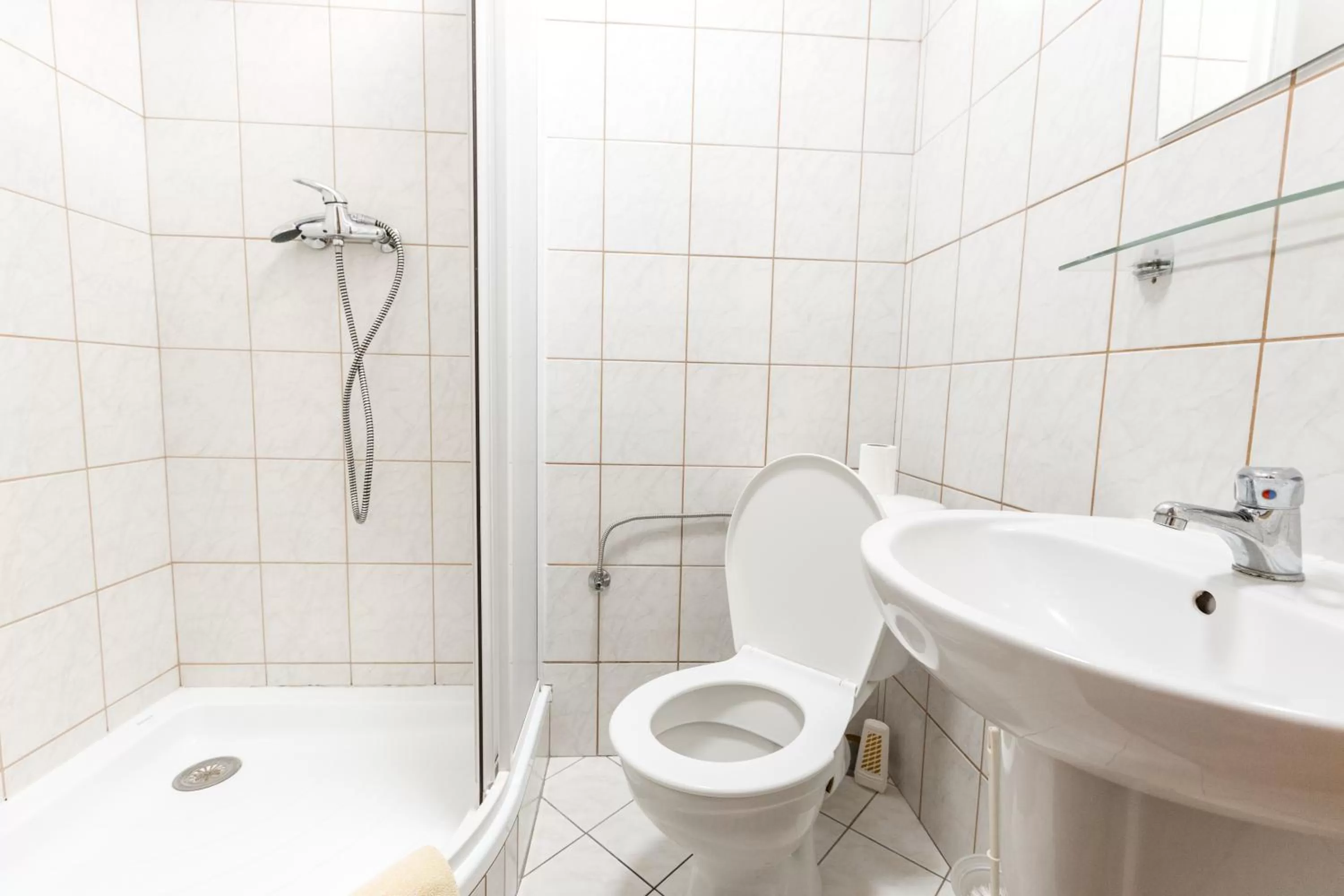 Bathroom in Hotel Gradl