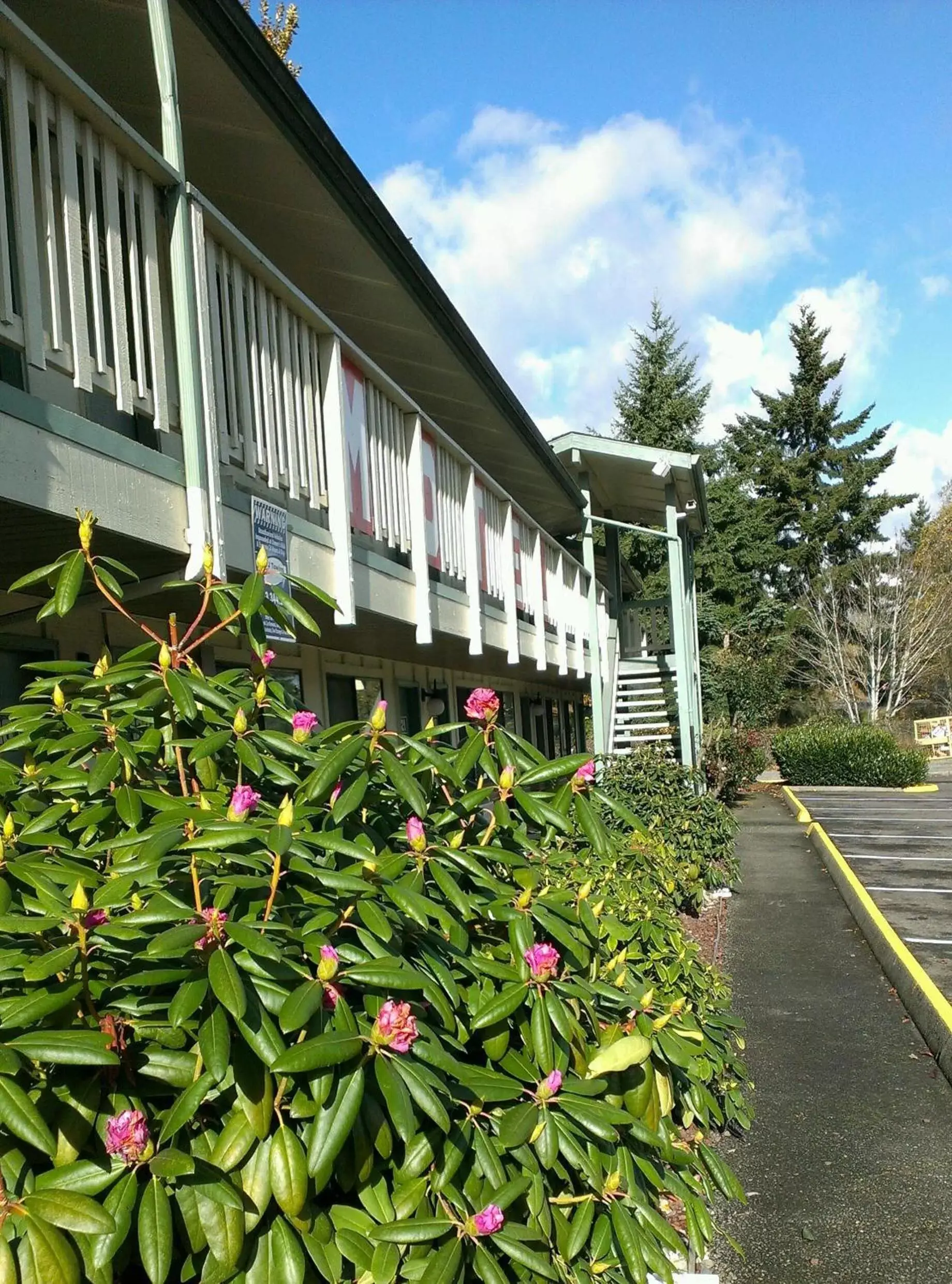Spring, Property Building in Motel Puyallup