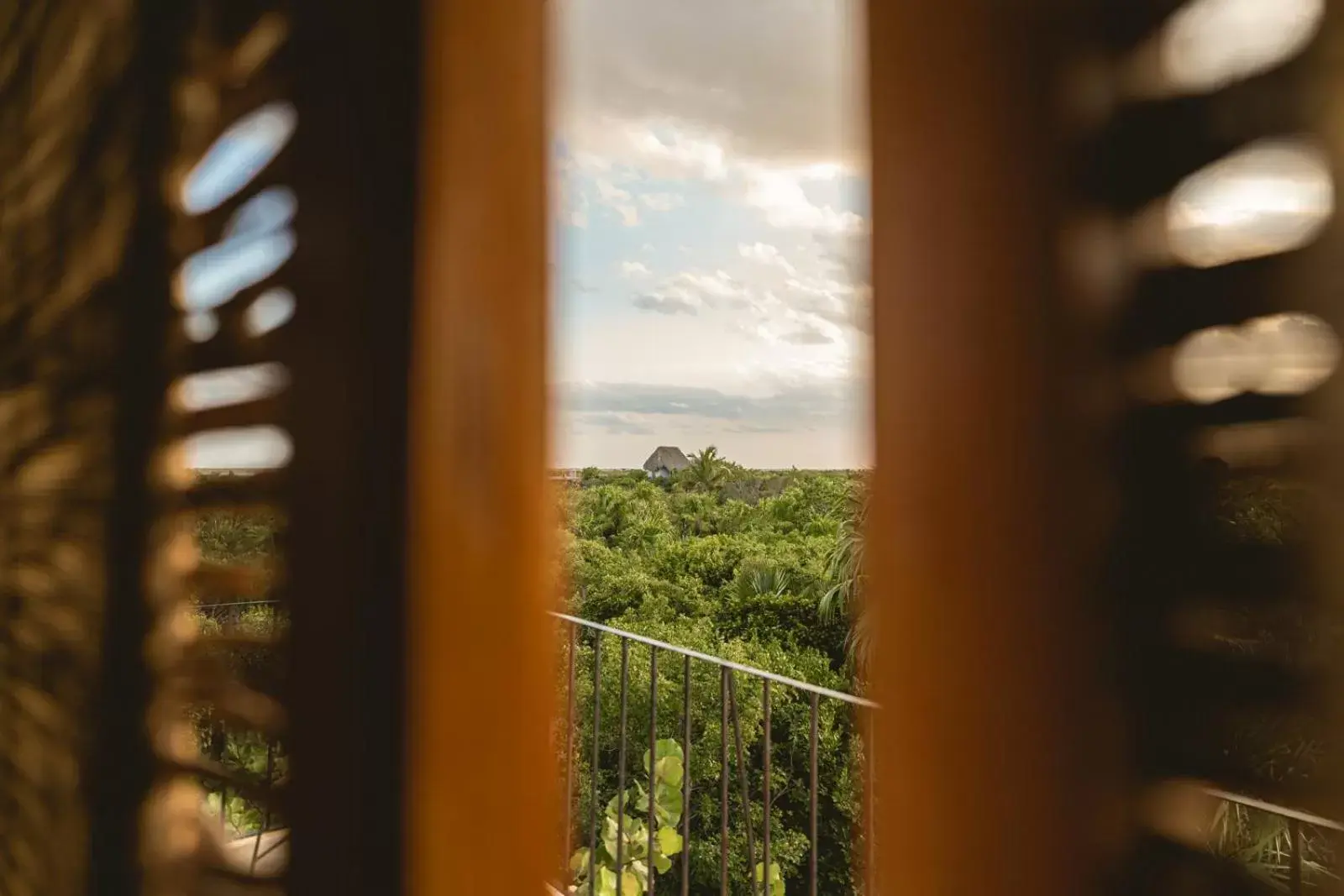 Natural landscape in Casa Mia El Cuyo Eco Beach Boutique Hotel