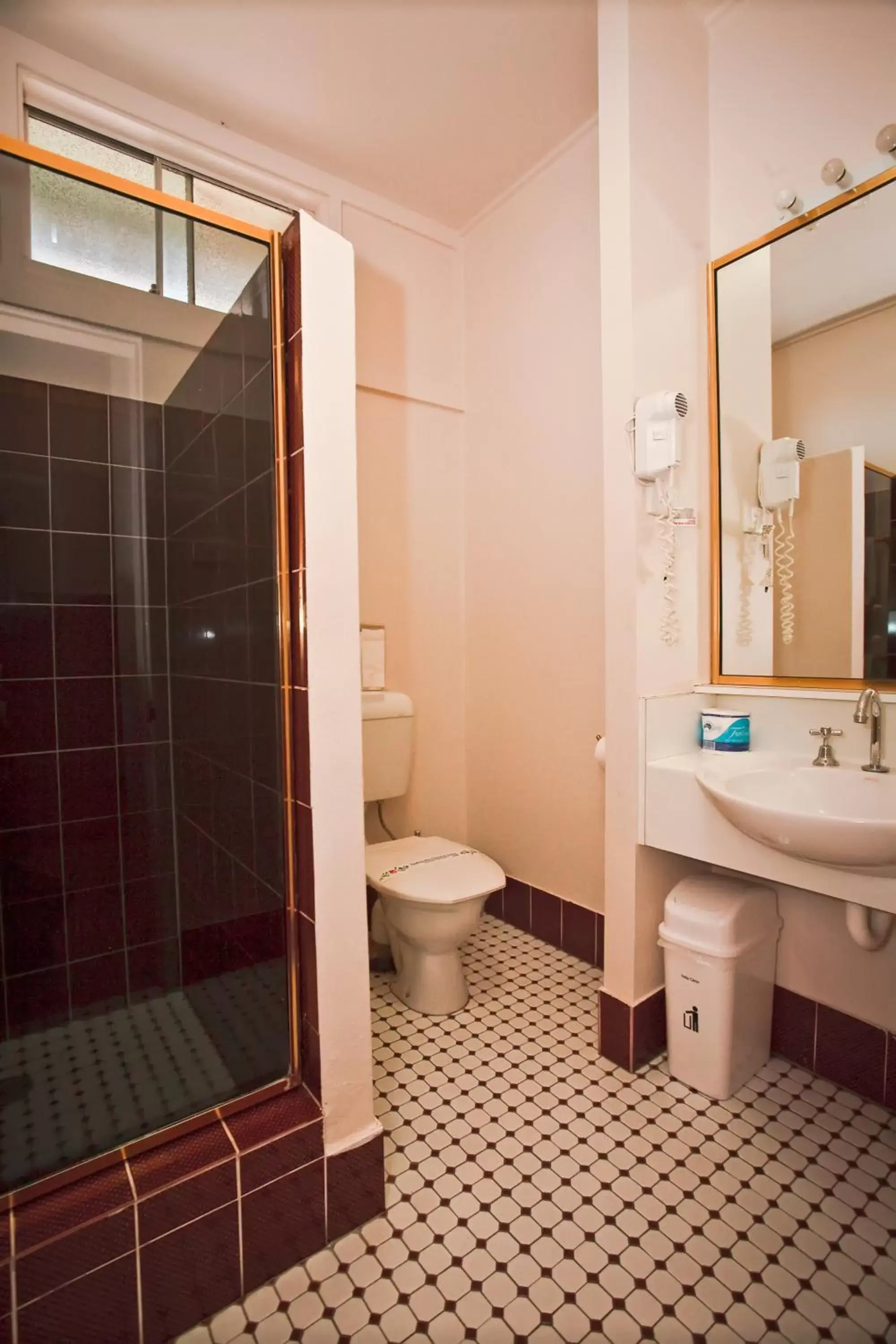 Bathroom in Abbotsleigh Motor Inn