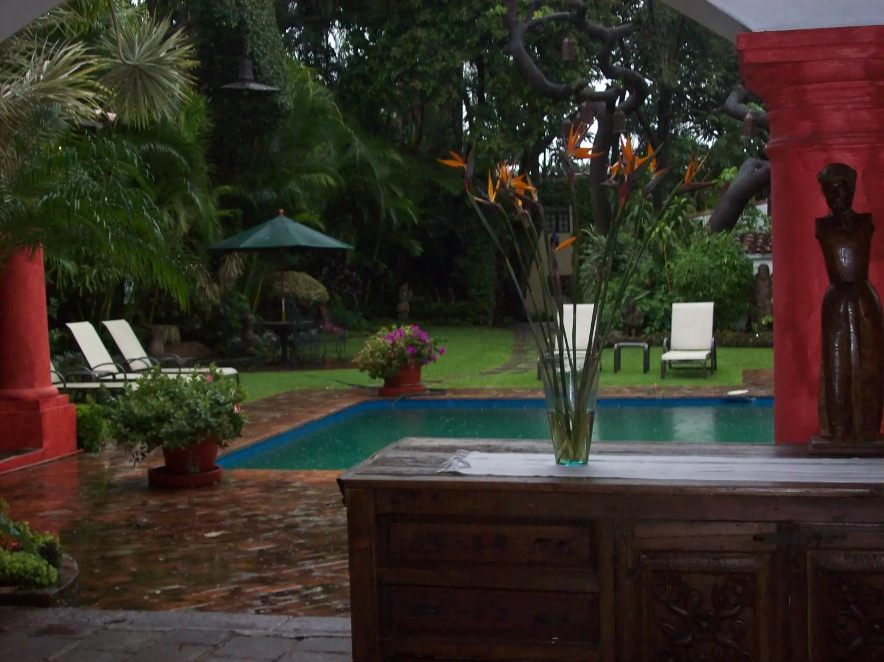 Garden, Swimming Pool in Hotel Casa Colonial - Adults Only