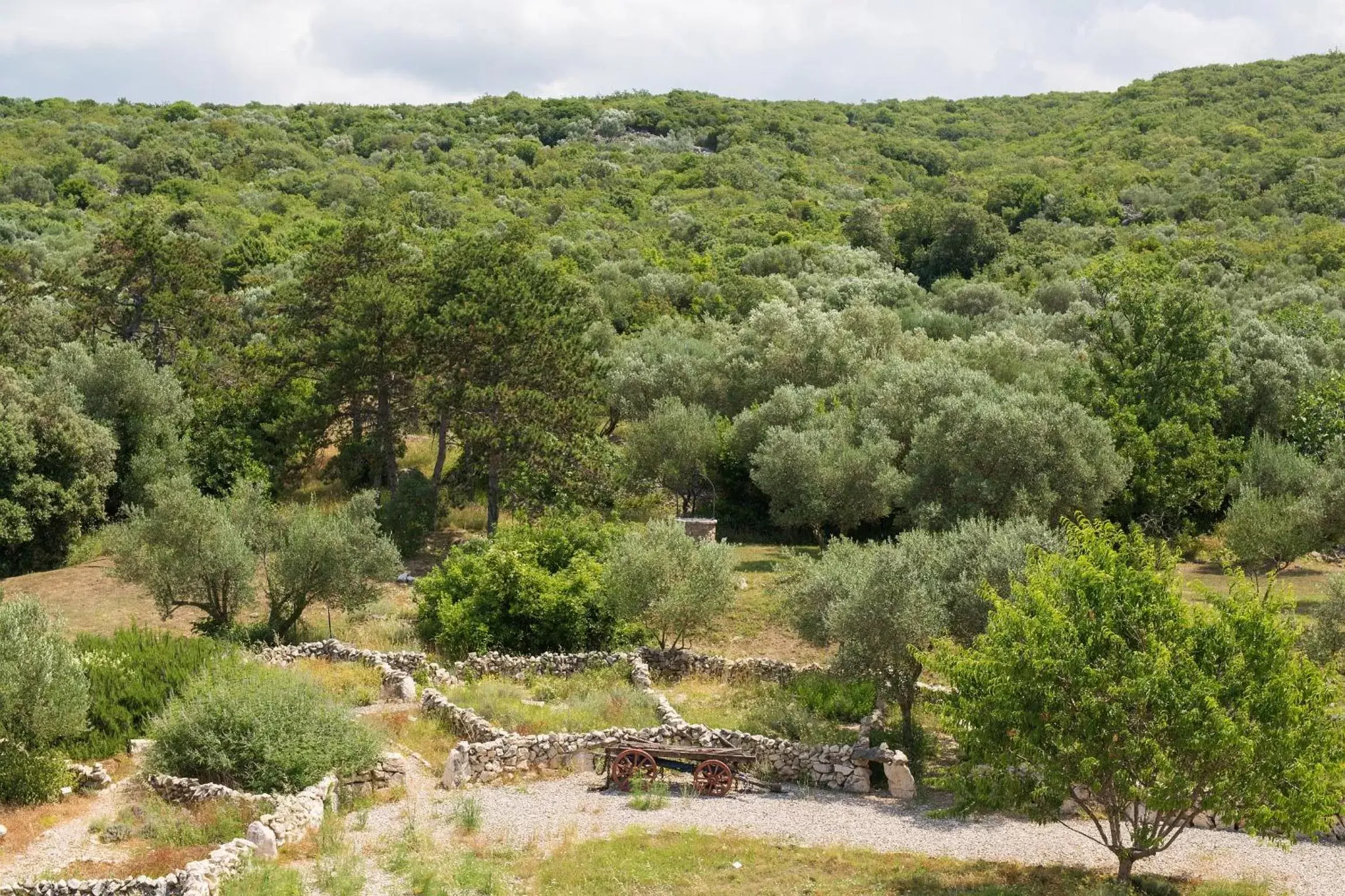 Natural landscape in Hotel Kanajt