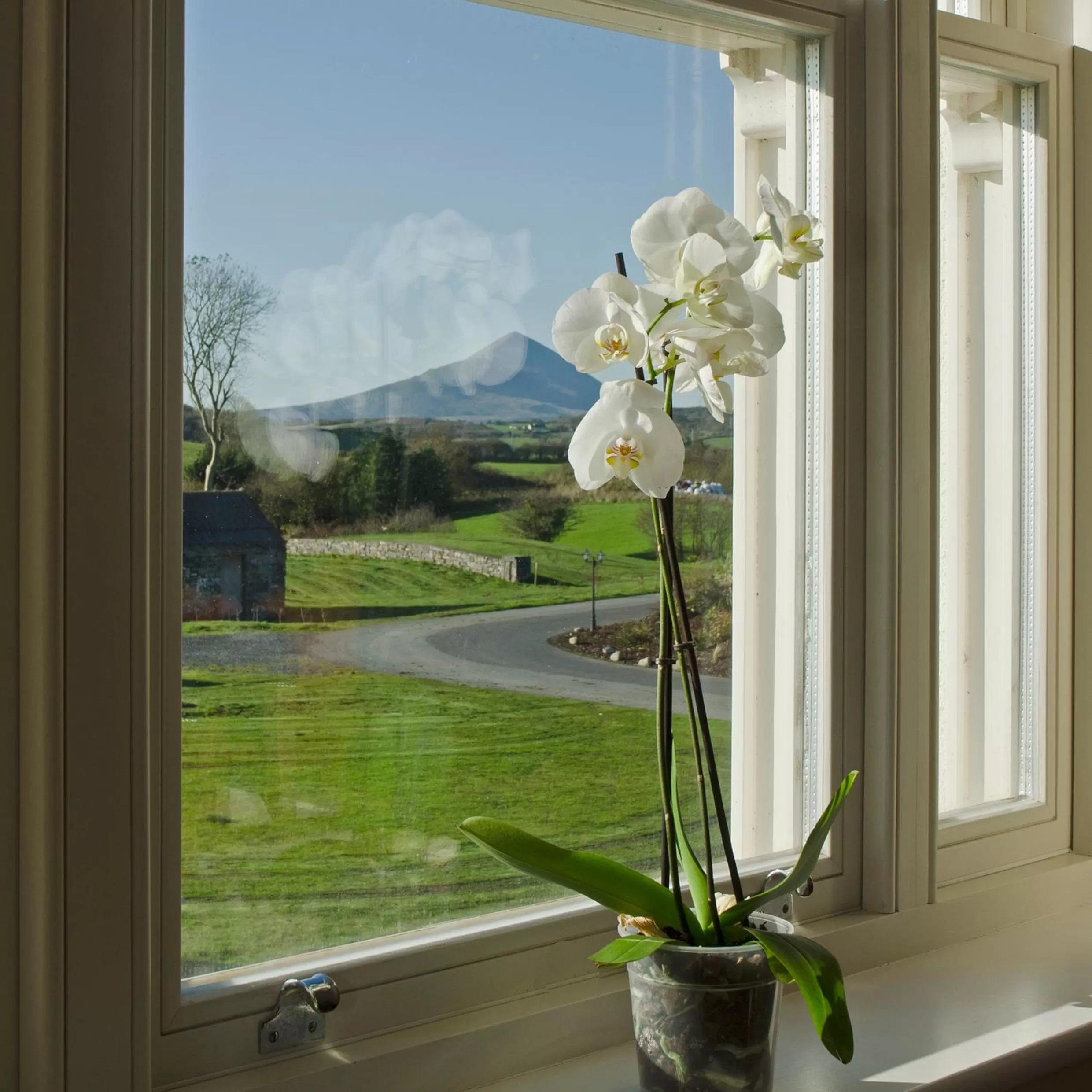 Spring in Westport Country Lodge Hotel